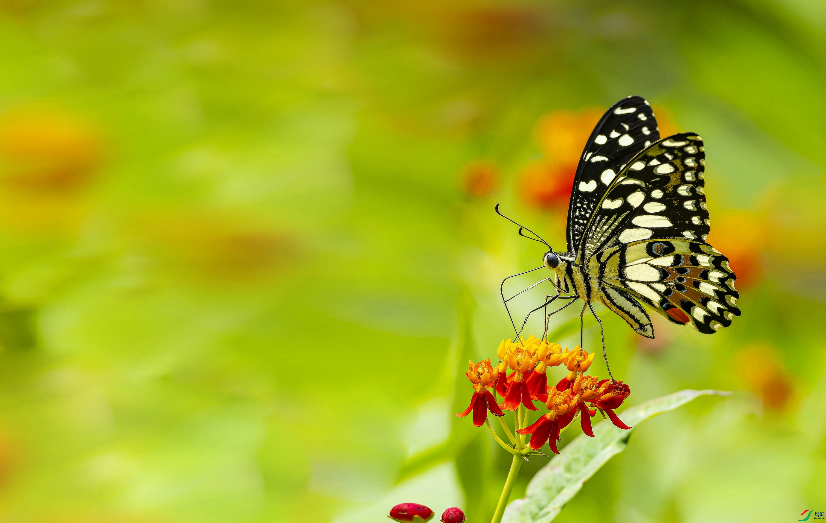 ��Ħ��� (1)-03.jpg