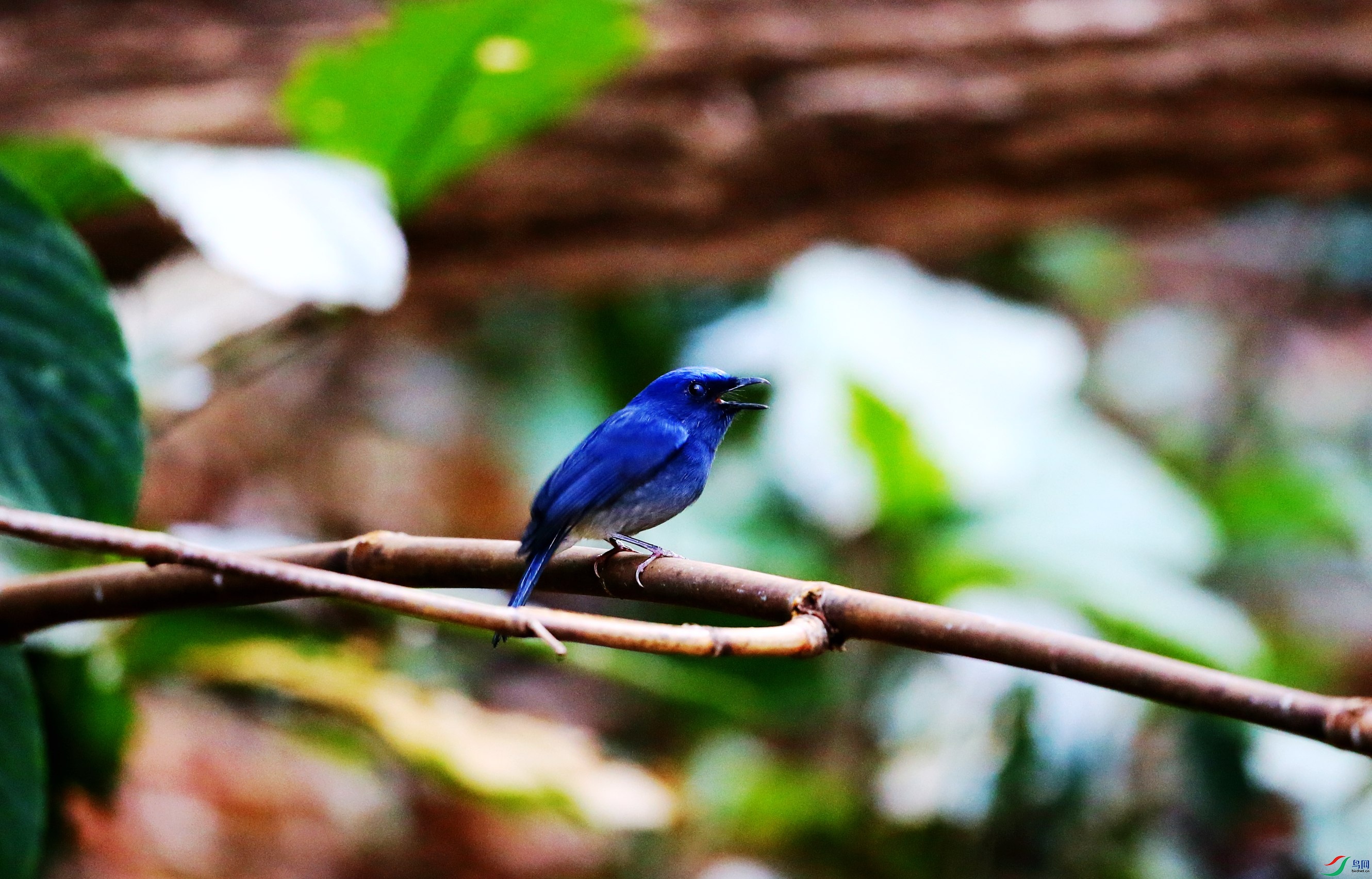 ��β�����l (14).JPG