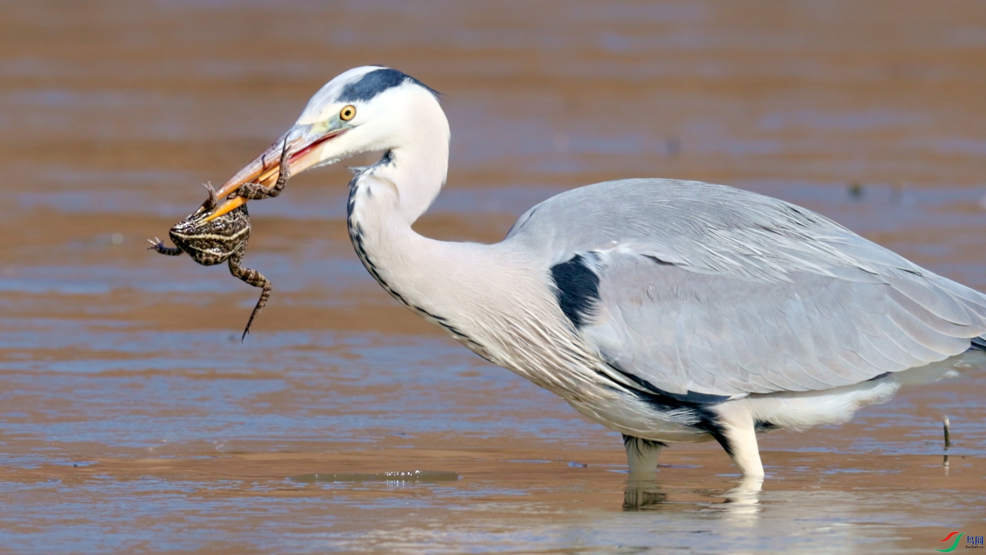 ��֡ 2024-12-21 185929_1.2.1.jpg