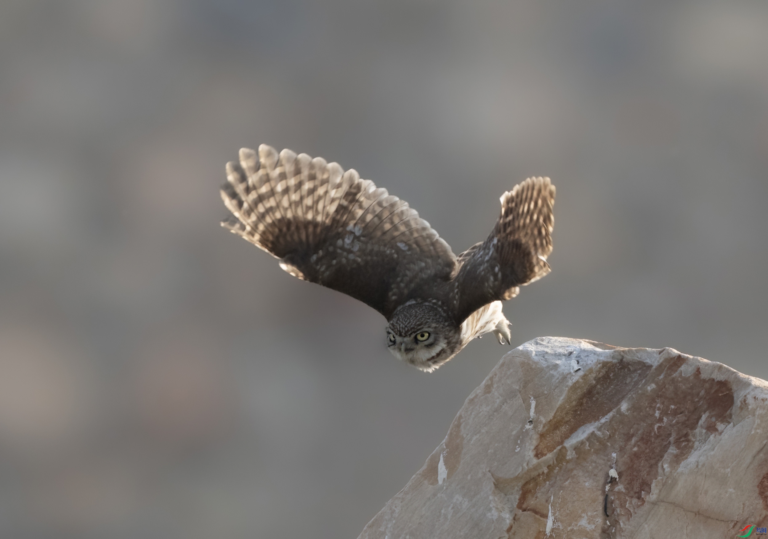 DSC03305 ���� 2.jpg