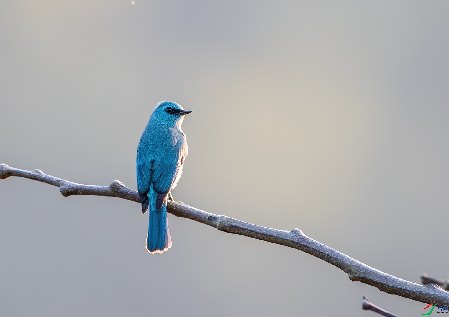 DSC_9156-1.jpg