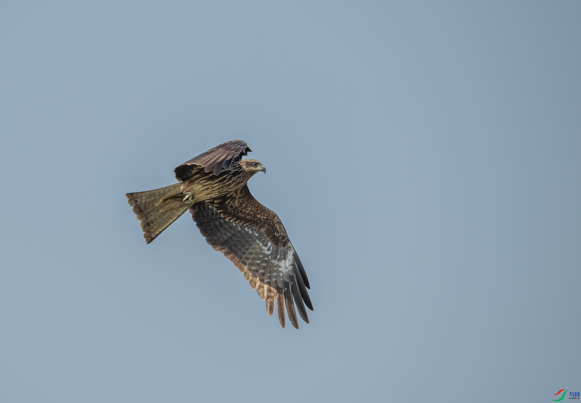 DSC_8978-1.jpg
