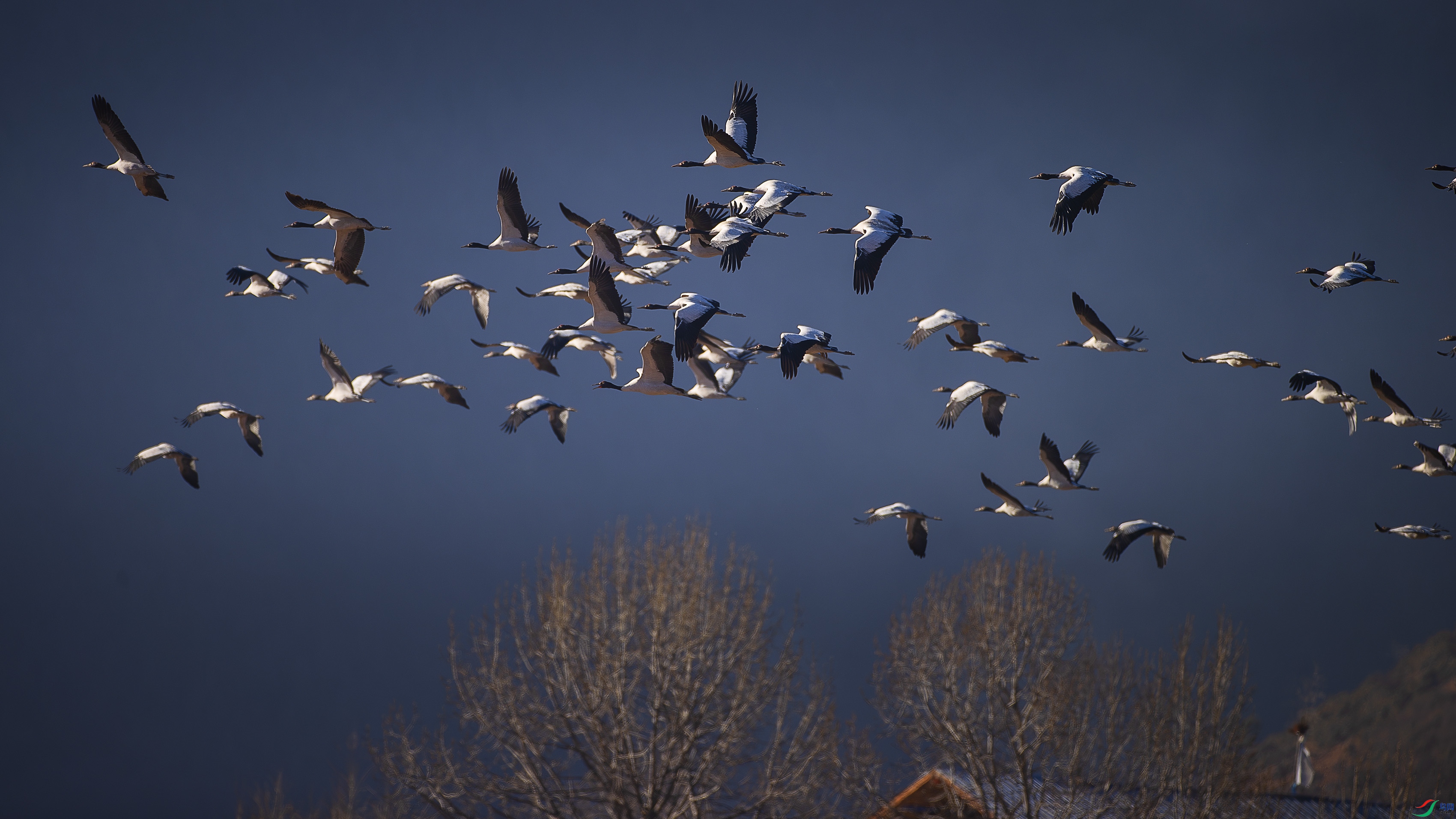 �ں׷���������