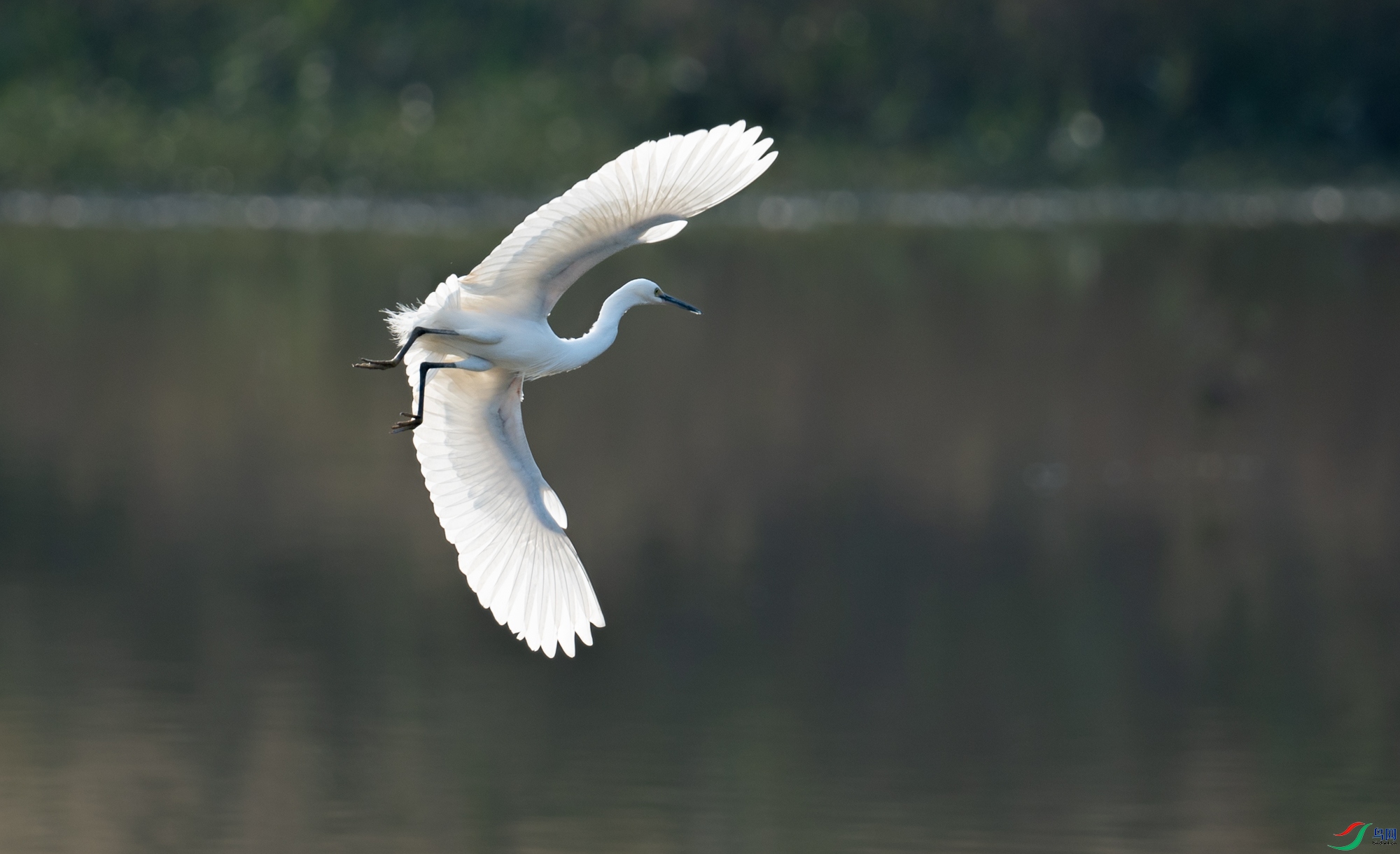 DSC_5341_.jpg