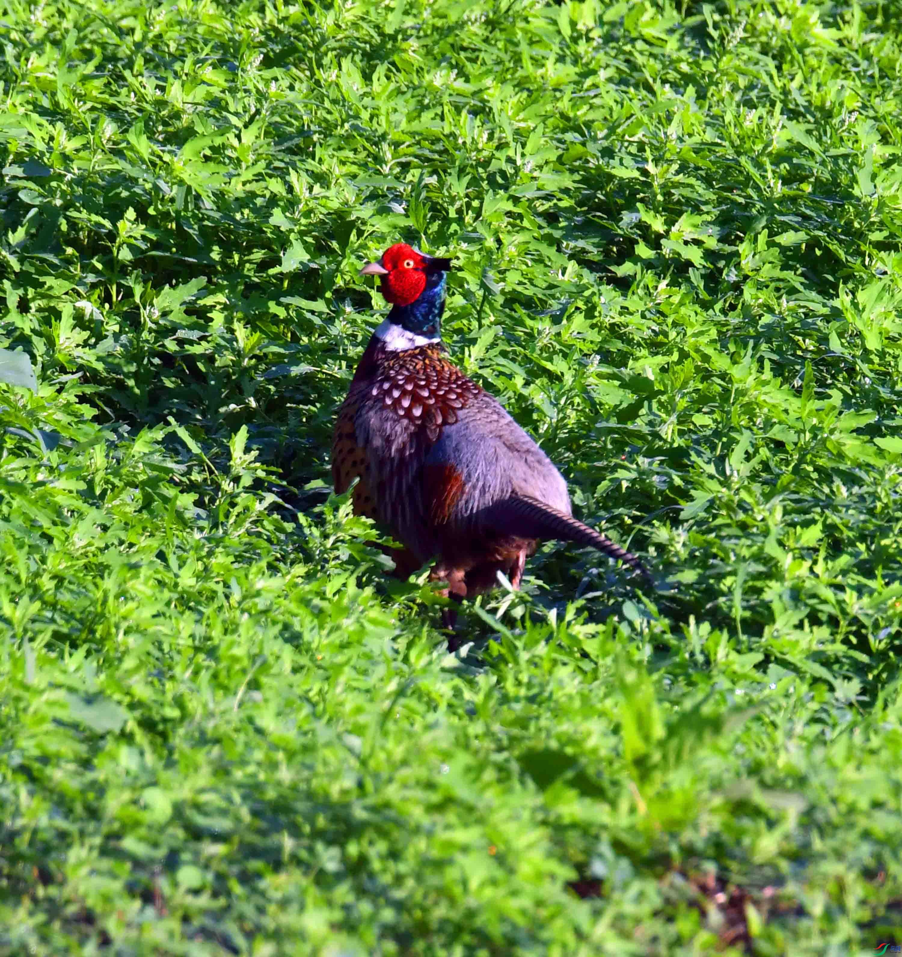 DSC_2891.JPG
