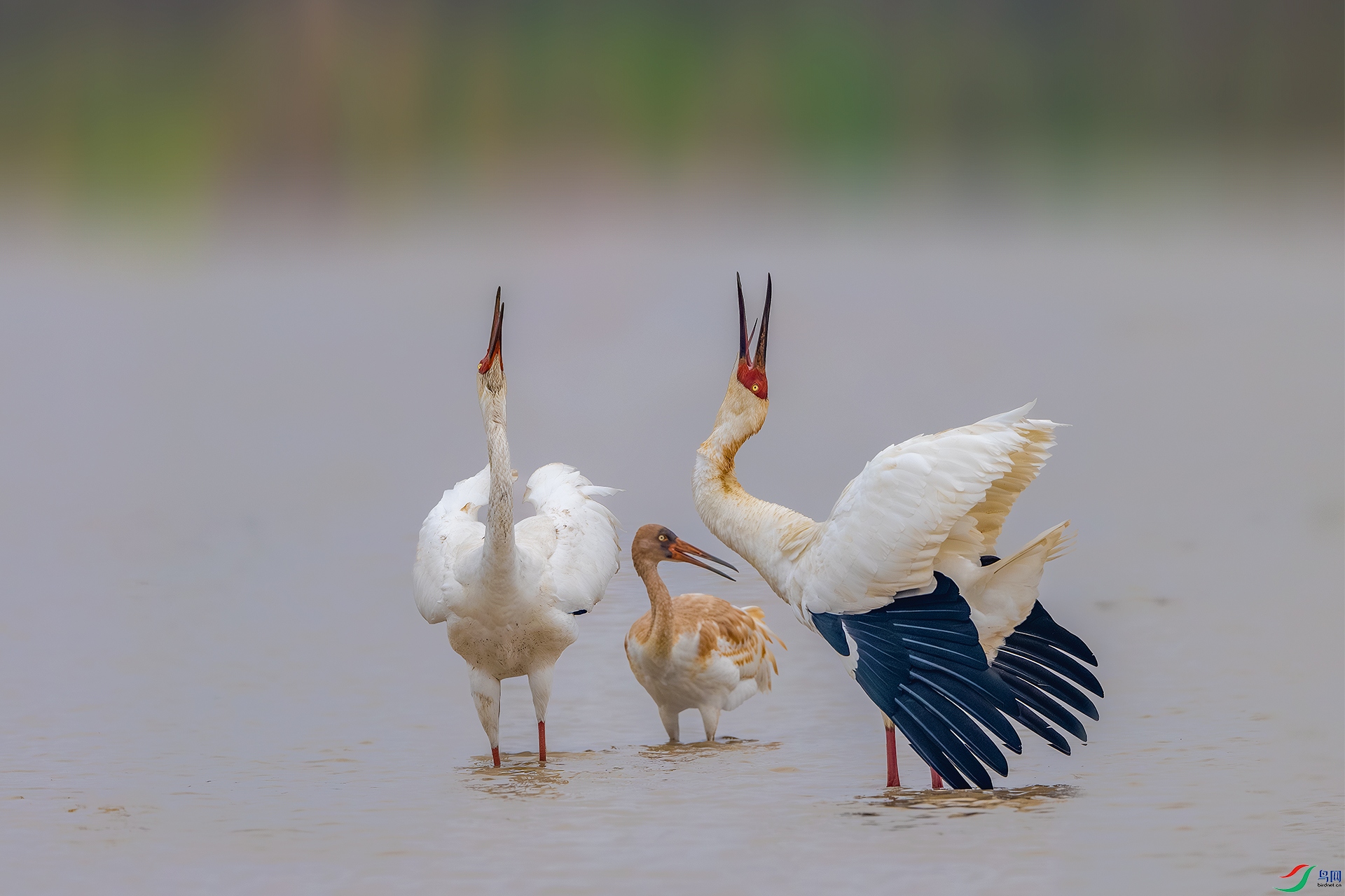 _DSC5826-����ǿ-NR ����С.jpg