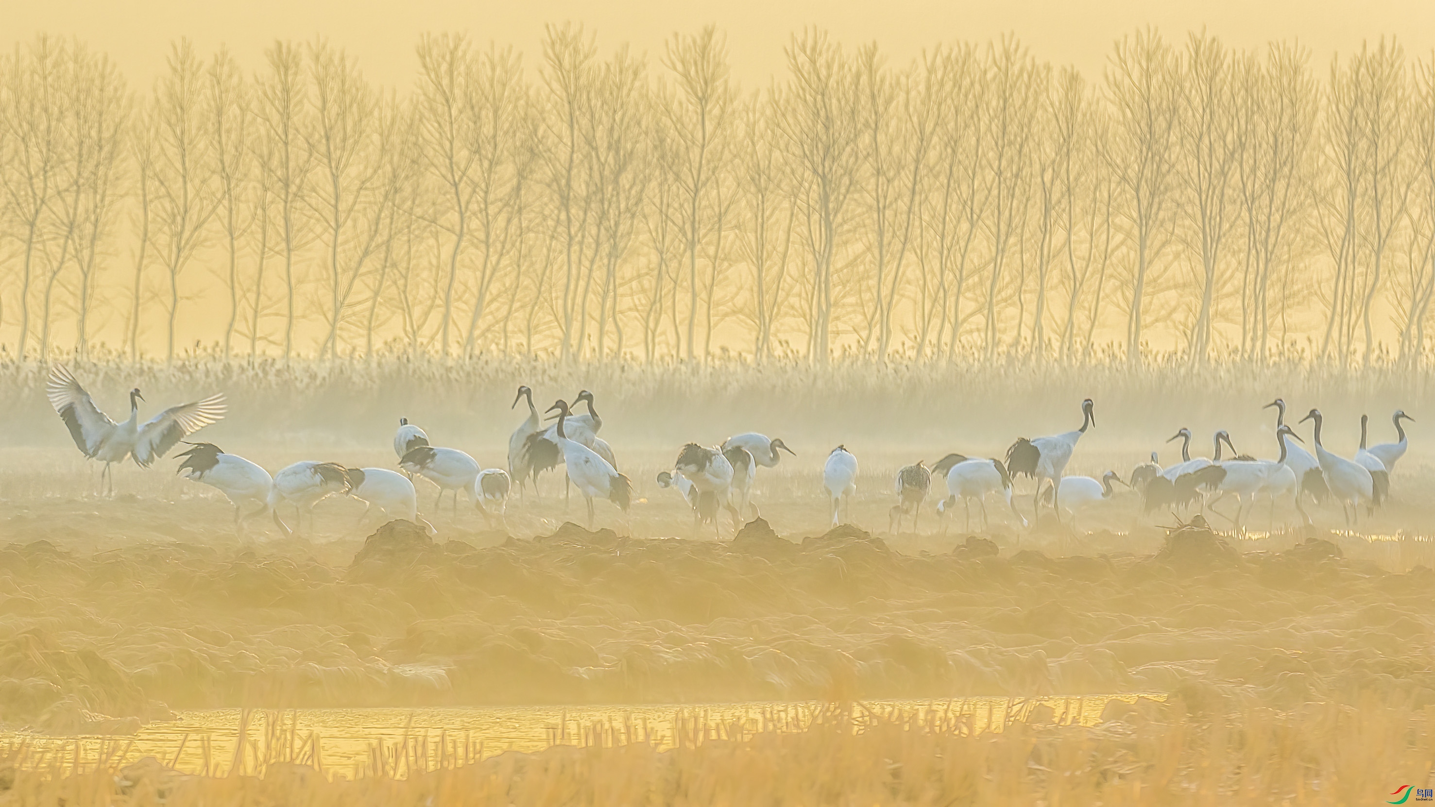 G81A8340 ����.jpg