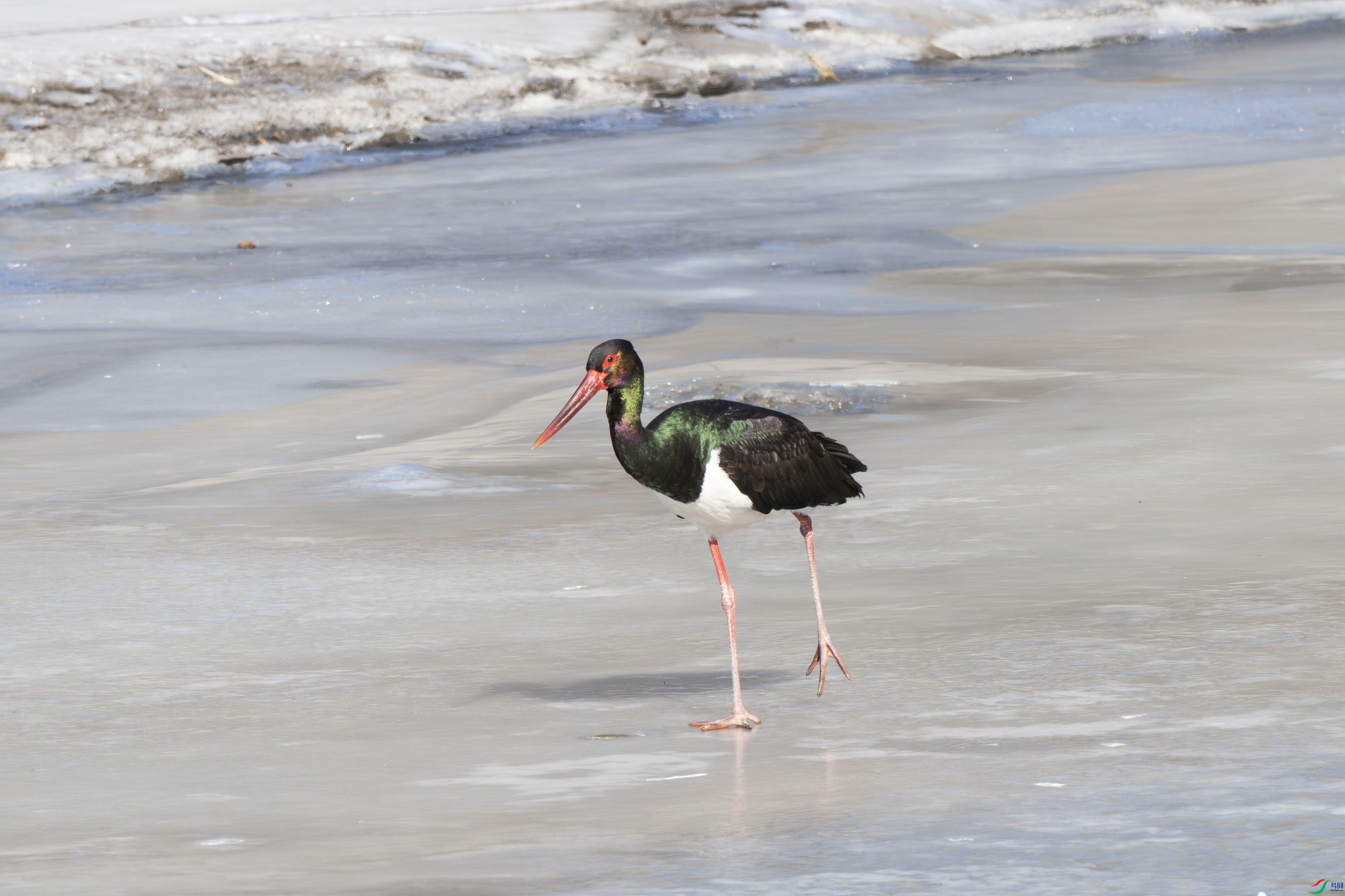 DSC_0456.jpg