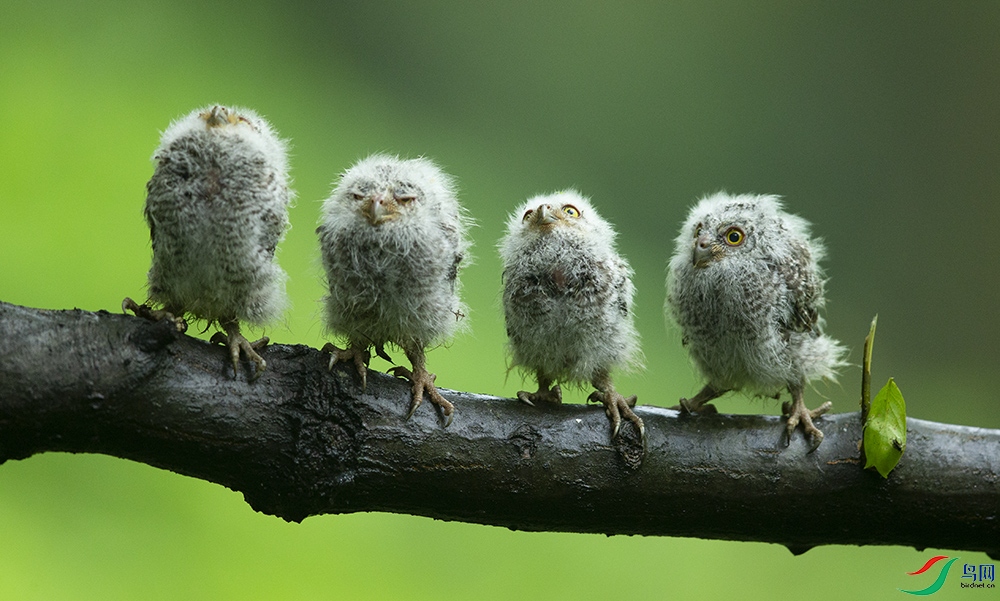 �������^ (11).jpg