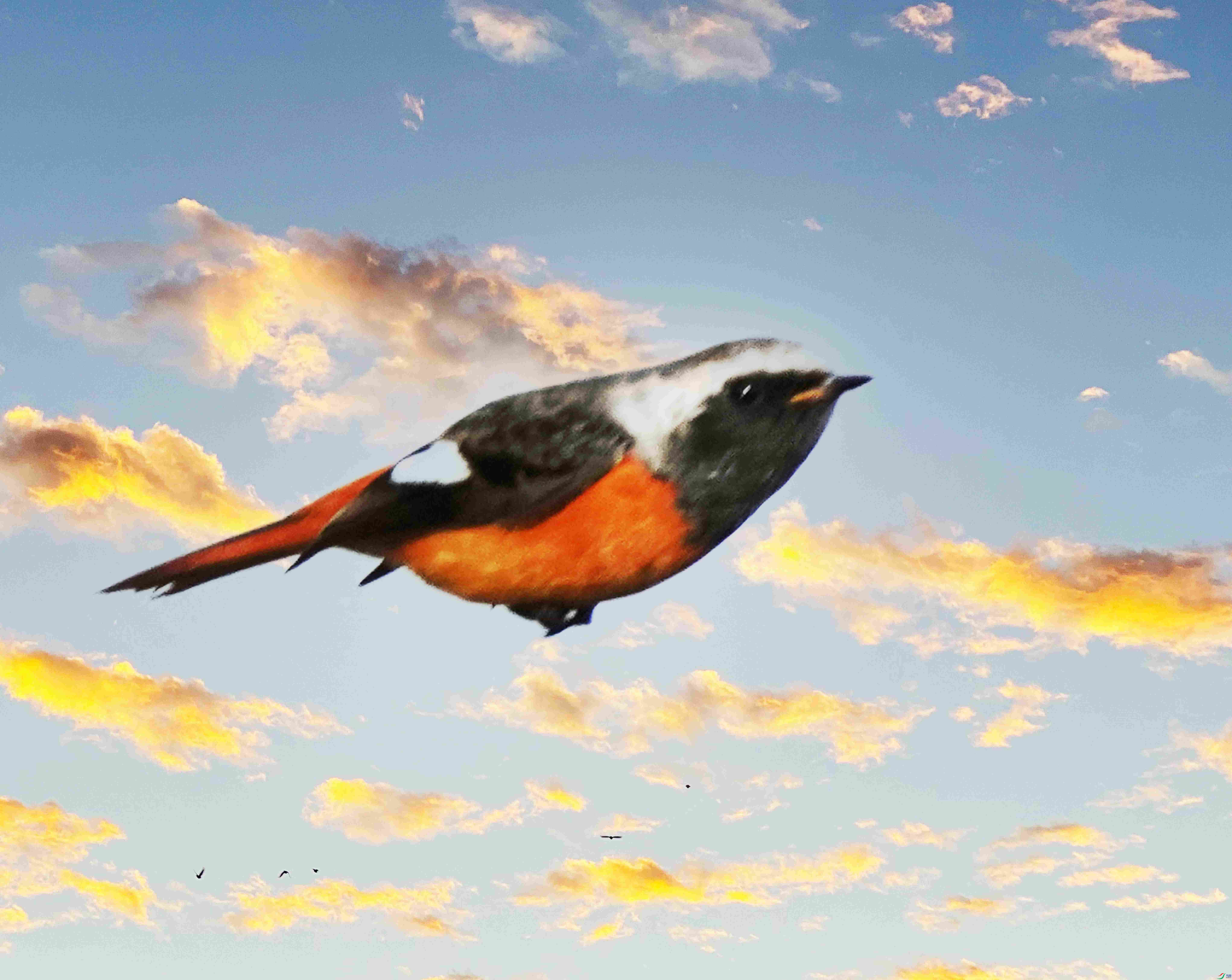 08DSC01909 ����_����.jpg