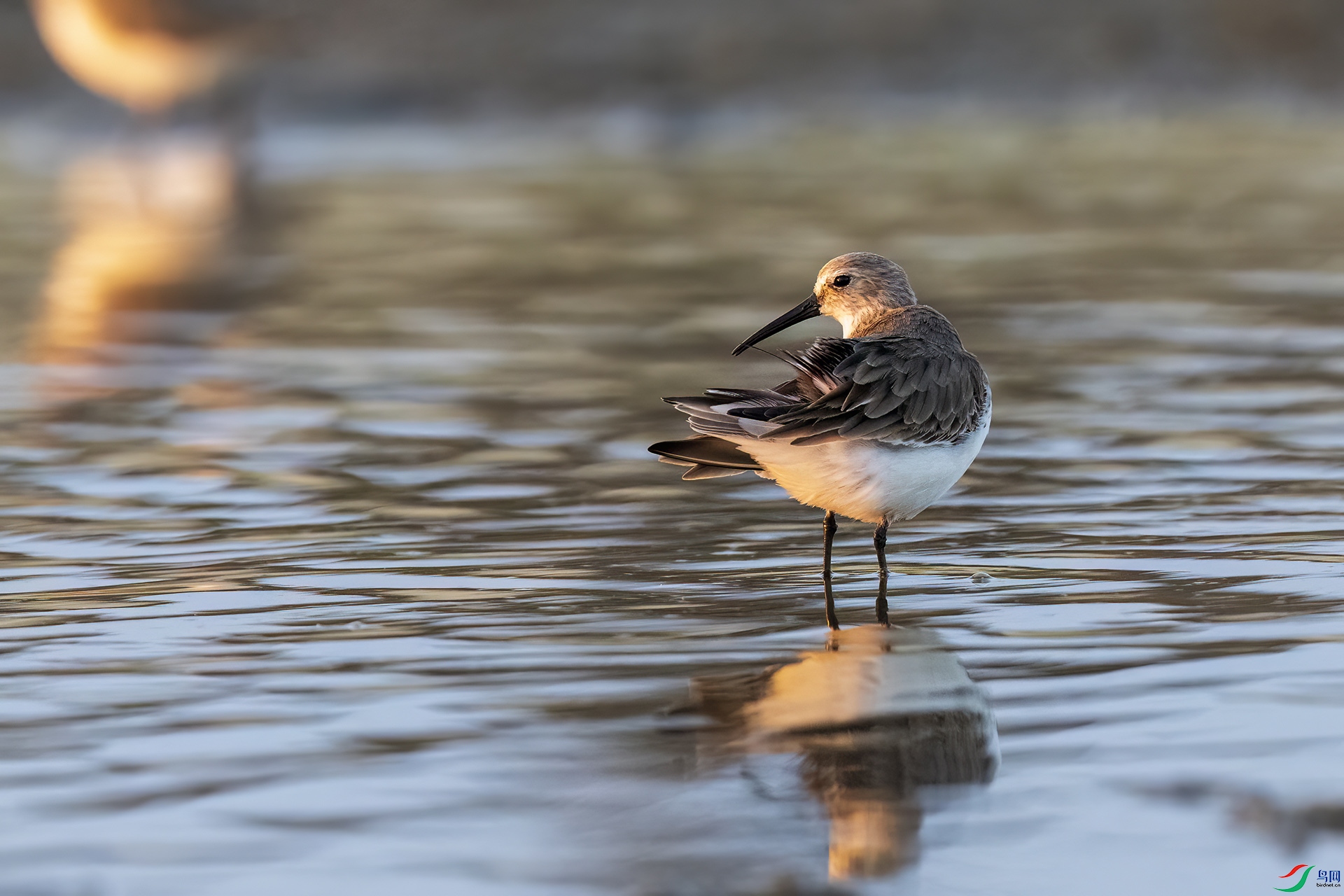 ��Ȼ����