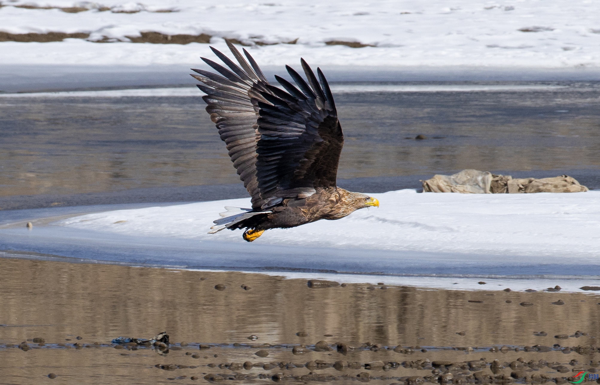 AD8I9733 ����x.jpg