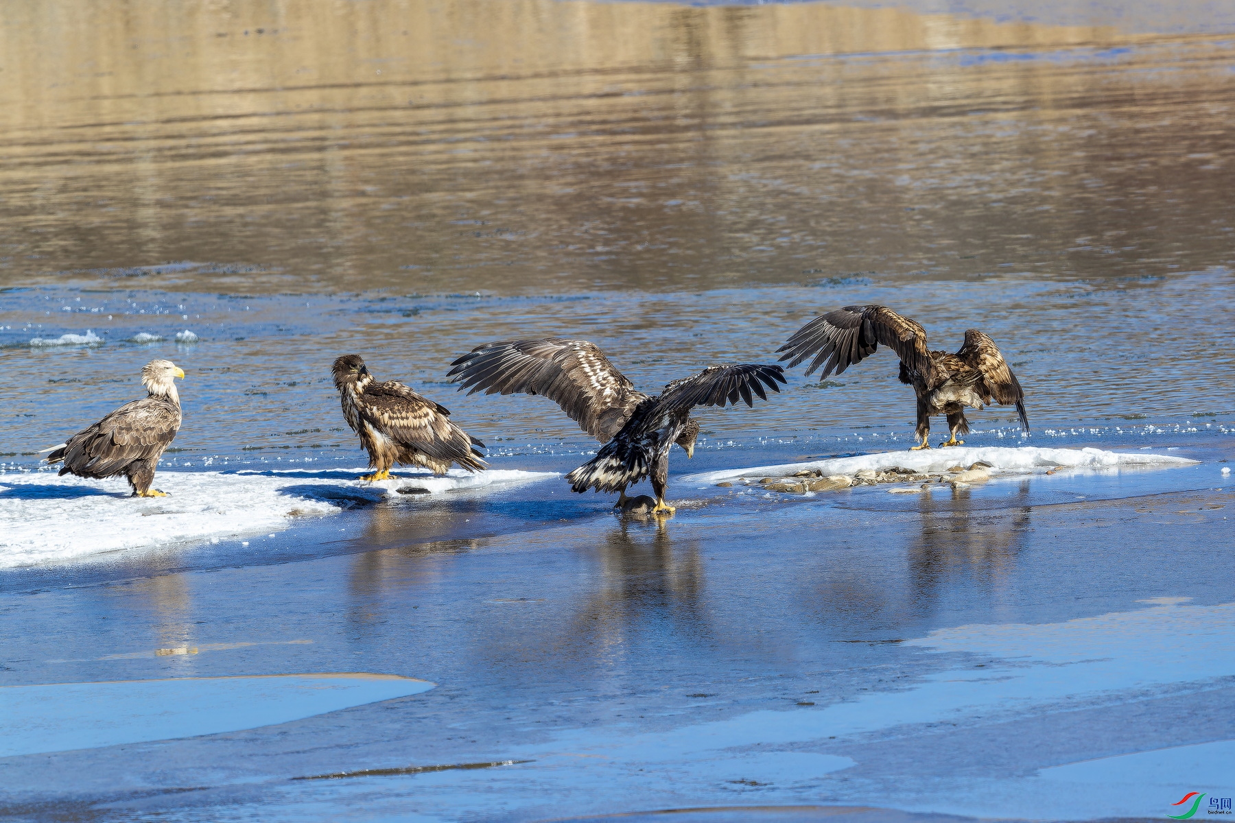 ��β����һ�� (24)-1.jpg