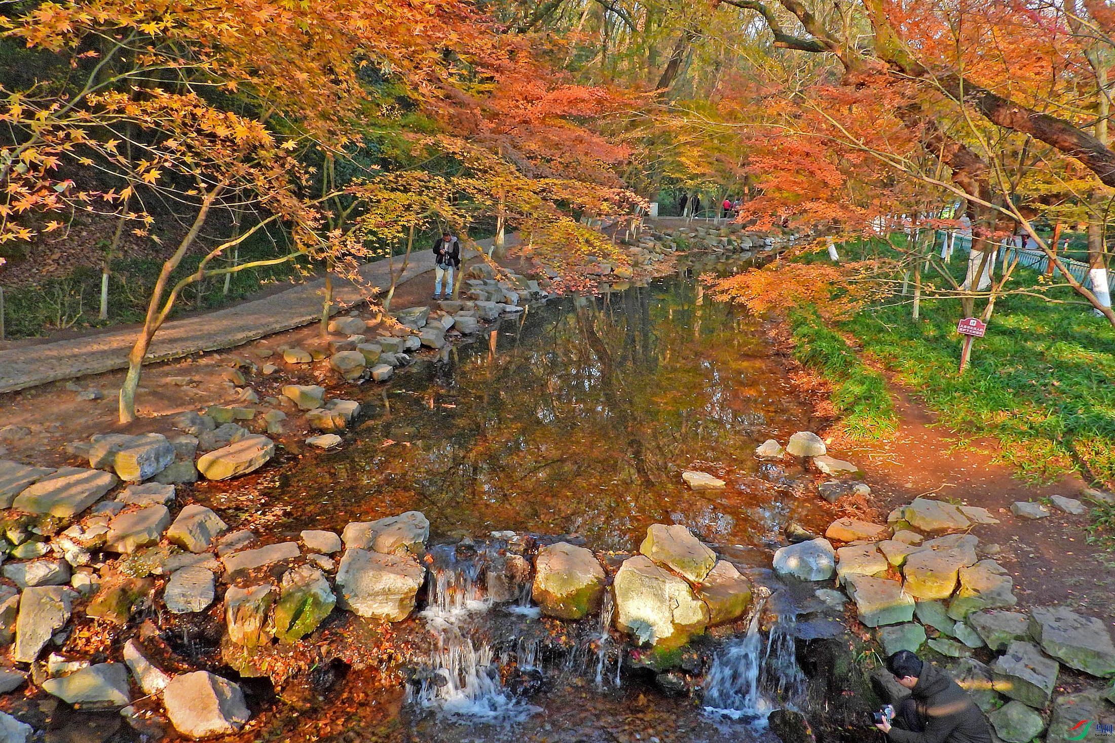 DSCN5125.JPG