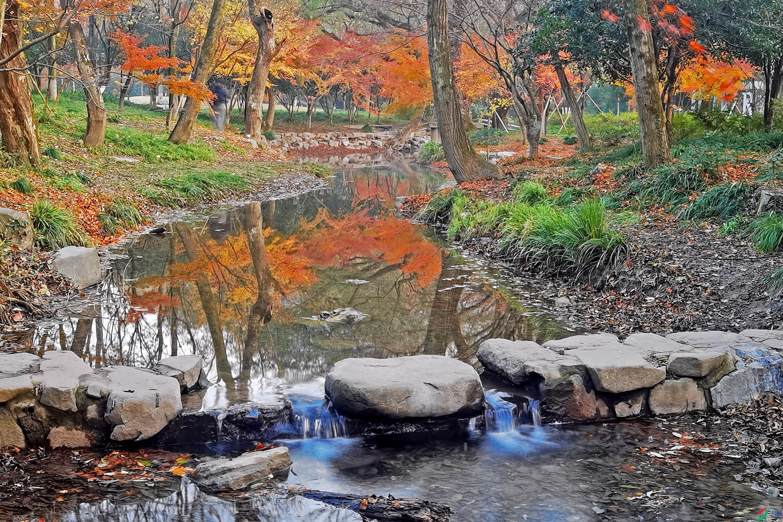 DSCN5126.jpg