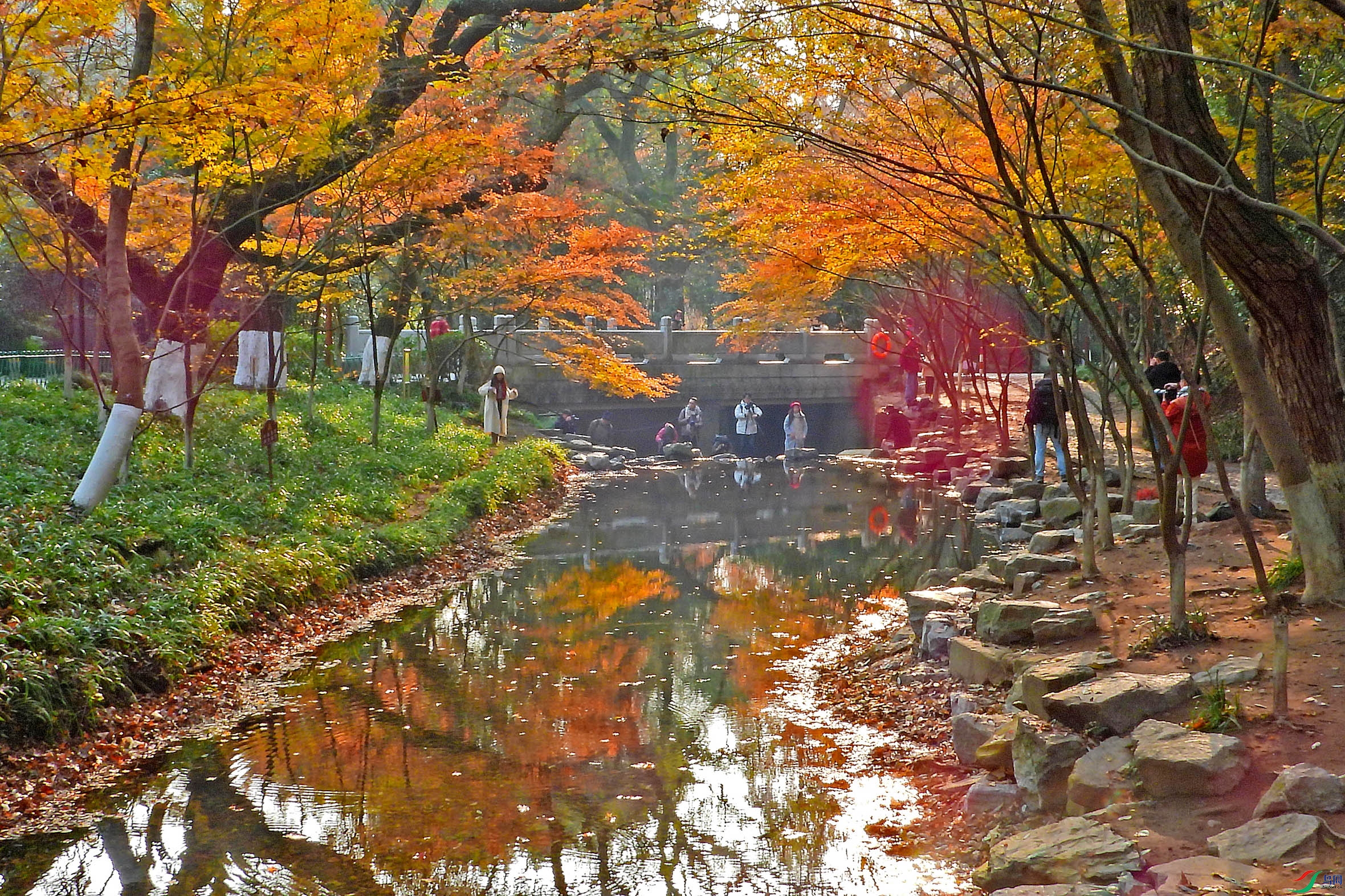 DSCN5123.JPG