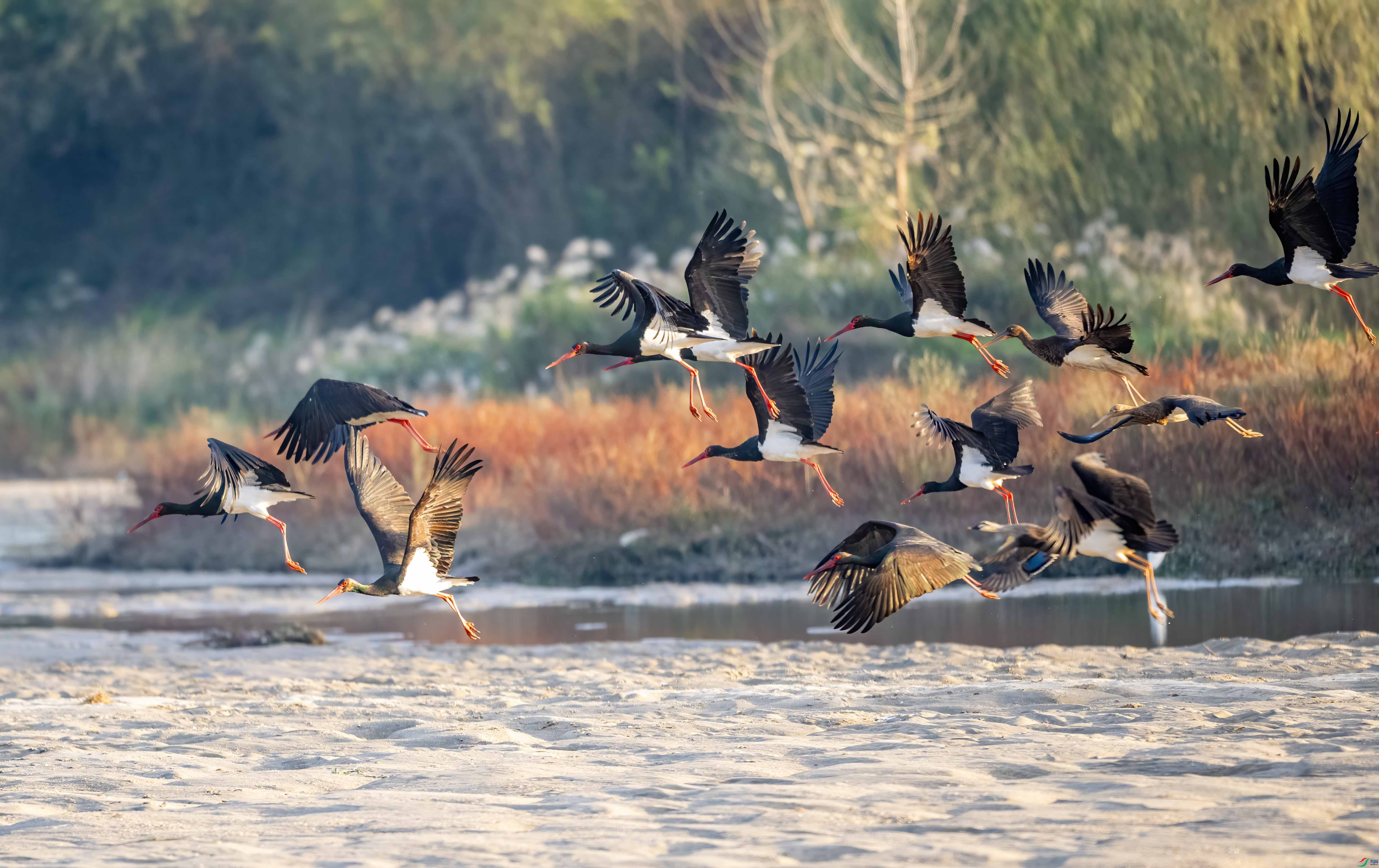 DSC_6902 ����.jpg