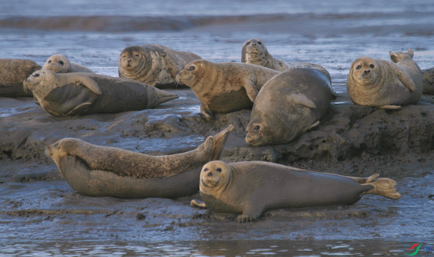 07 IMG_5214����.jpg