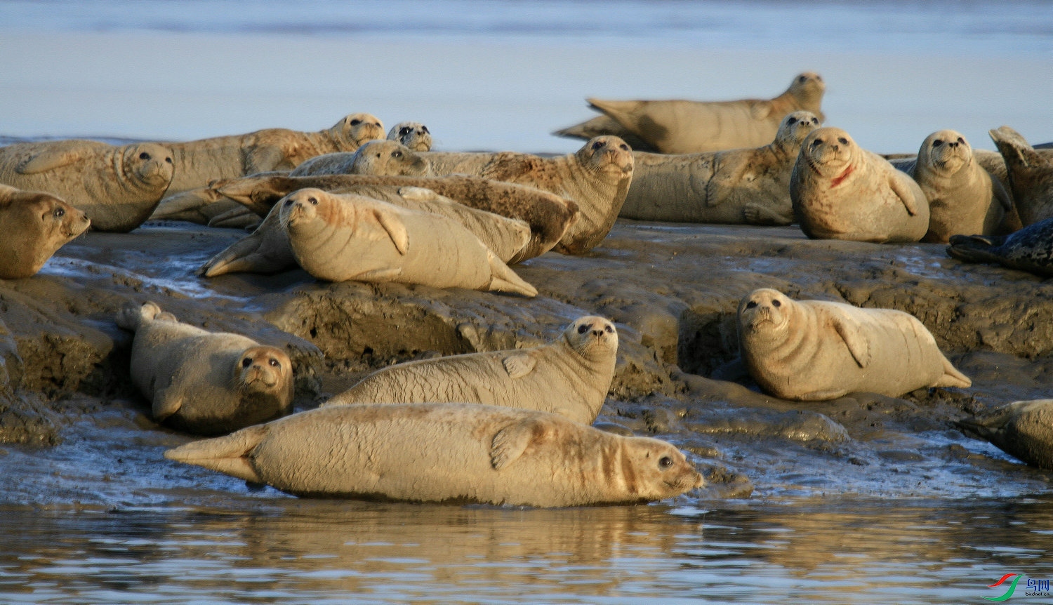 010 IMG_5230�ຣ.jpg