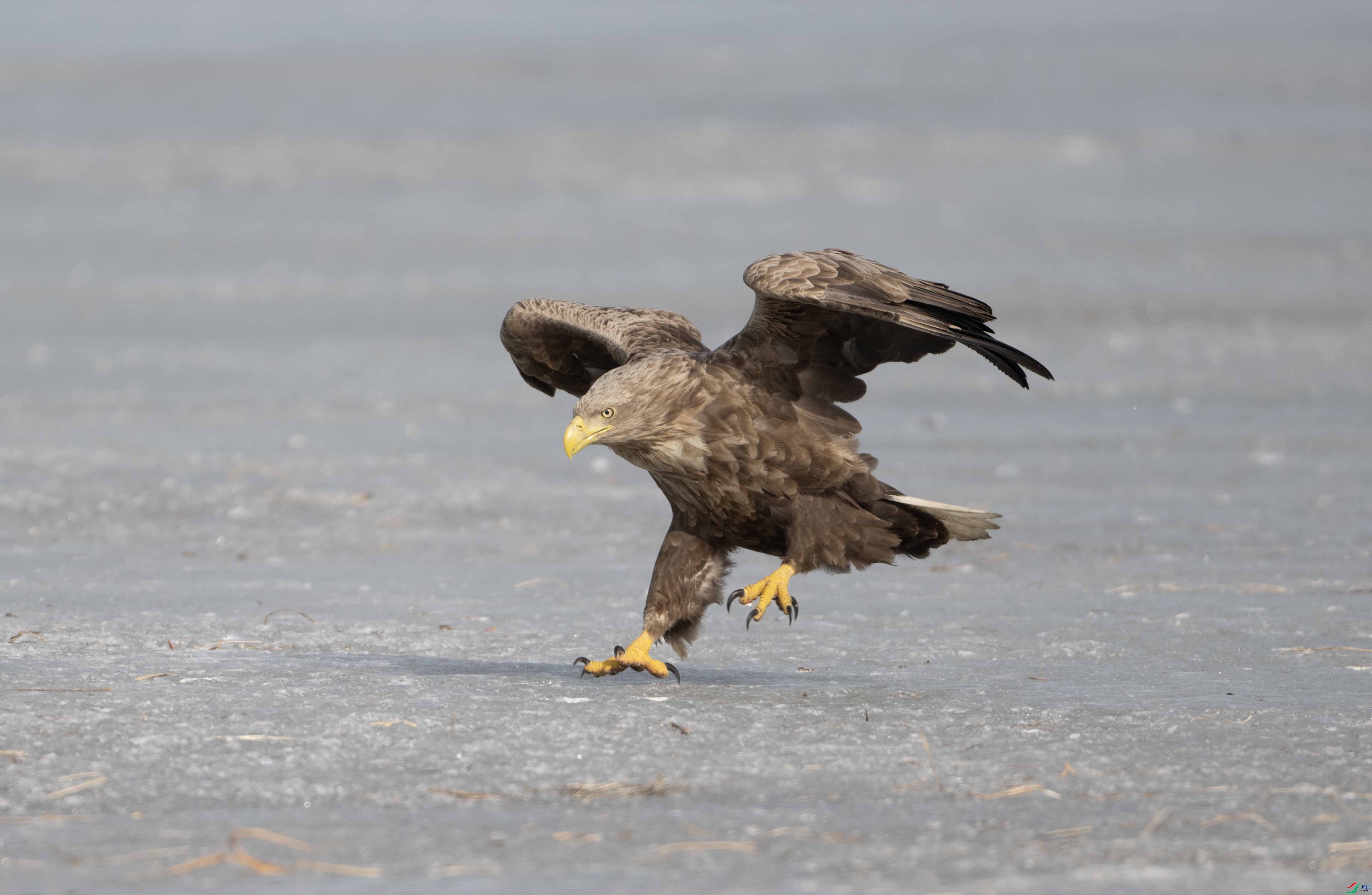 DSC_9276 ���� 2.jpg