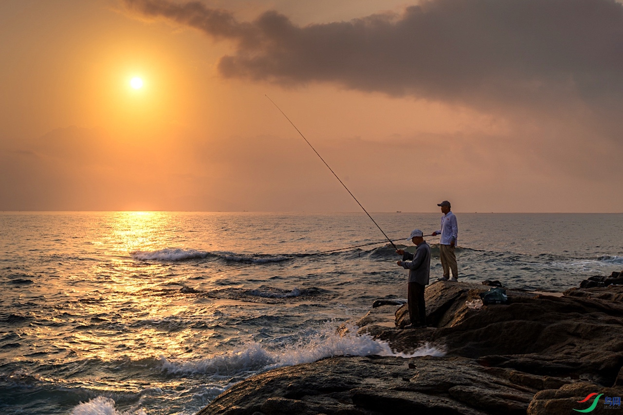 1_XXL5481-����ǿ-NR ���� 2.jpeg