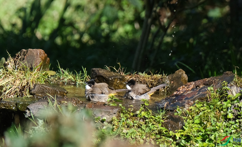 DSCF5274.1.jpg