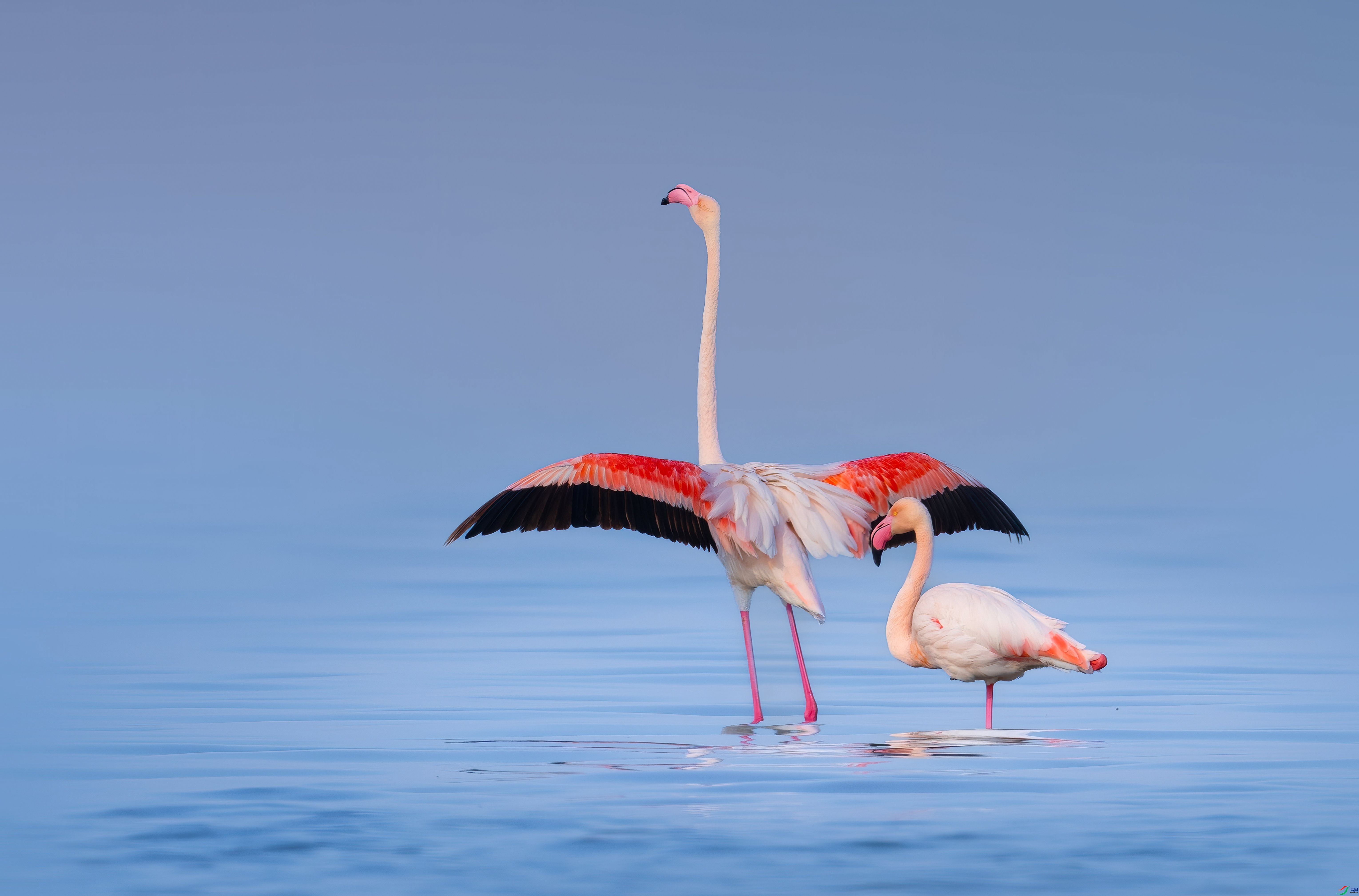 12.17����������ʦ��Ʒ   ӵ����ů������ ��ף���ٻ�ÿ�ռ�����.jpg