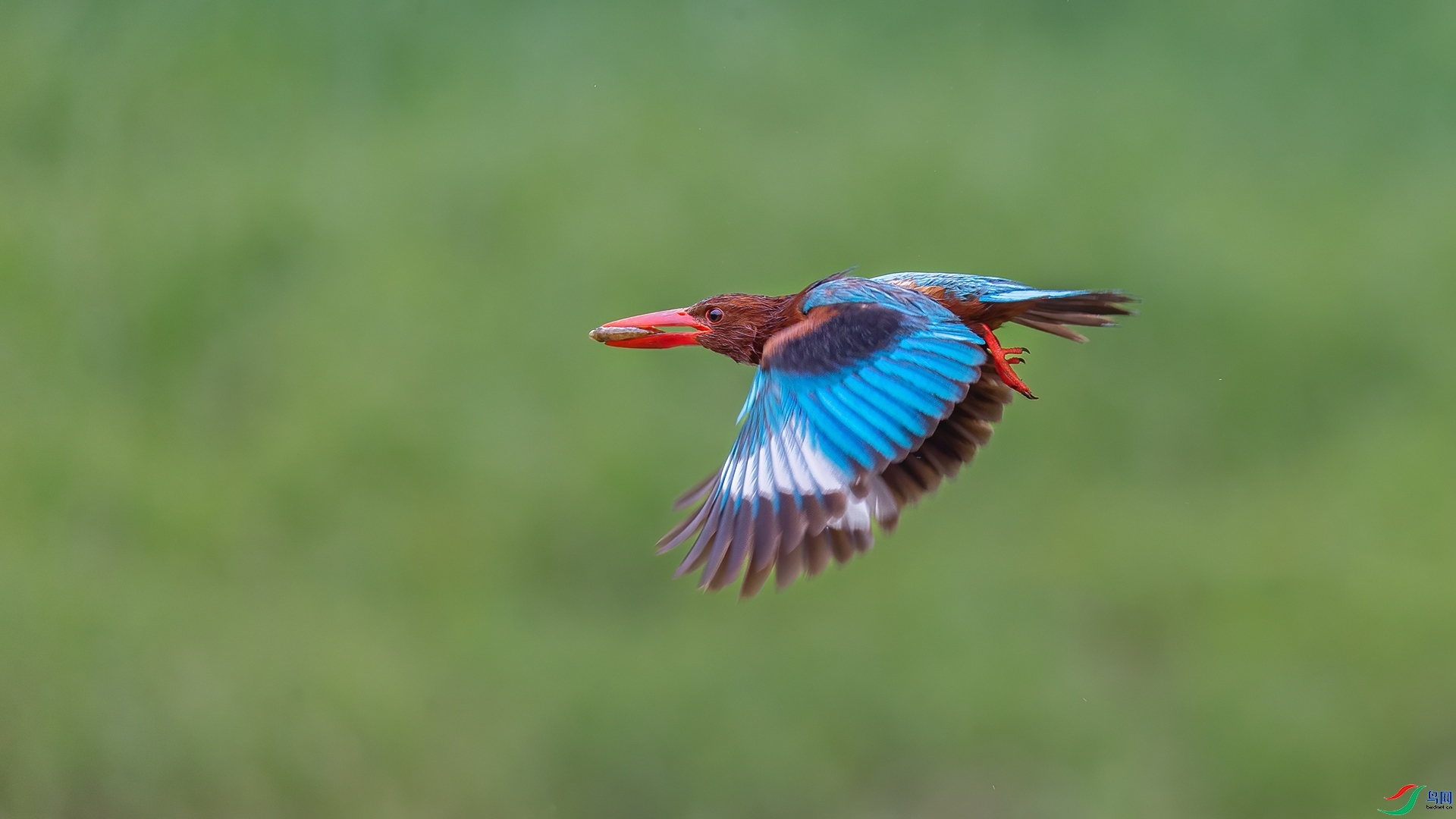 12.20�ƽ�Ҷ��ʦ��Ʒ   ����ȥ�Ҵҡ�   �ٻ�2024��12��20�����Ѿ���.jpg