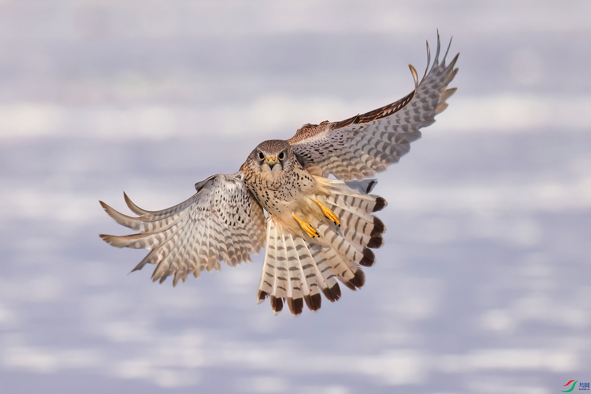 2F5A0695.JPG