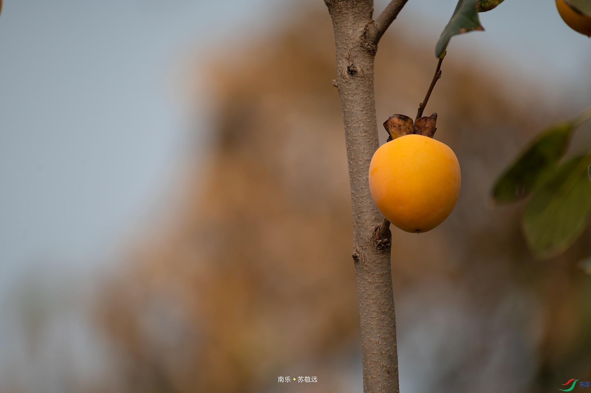_AAA7617С.jpg