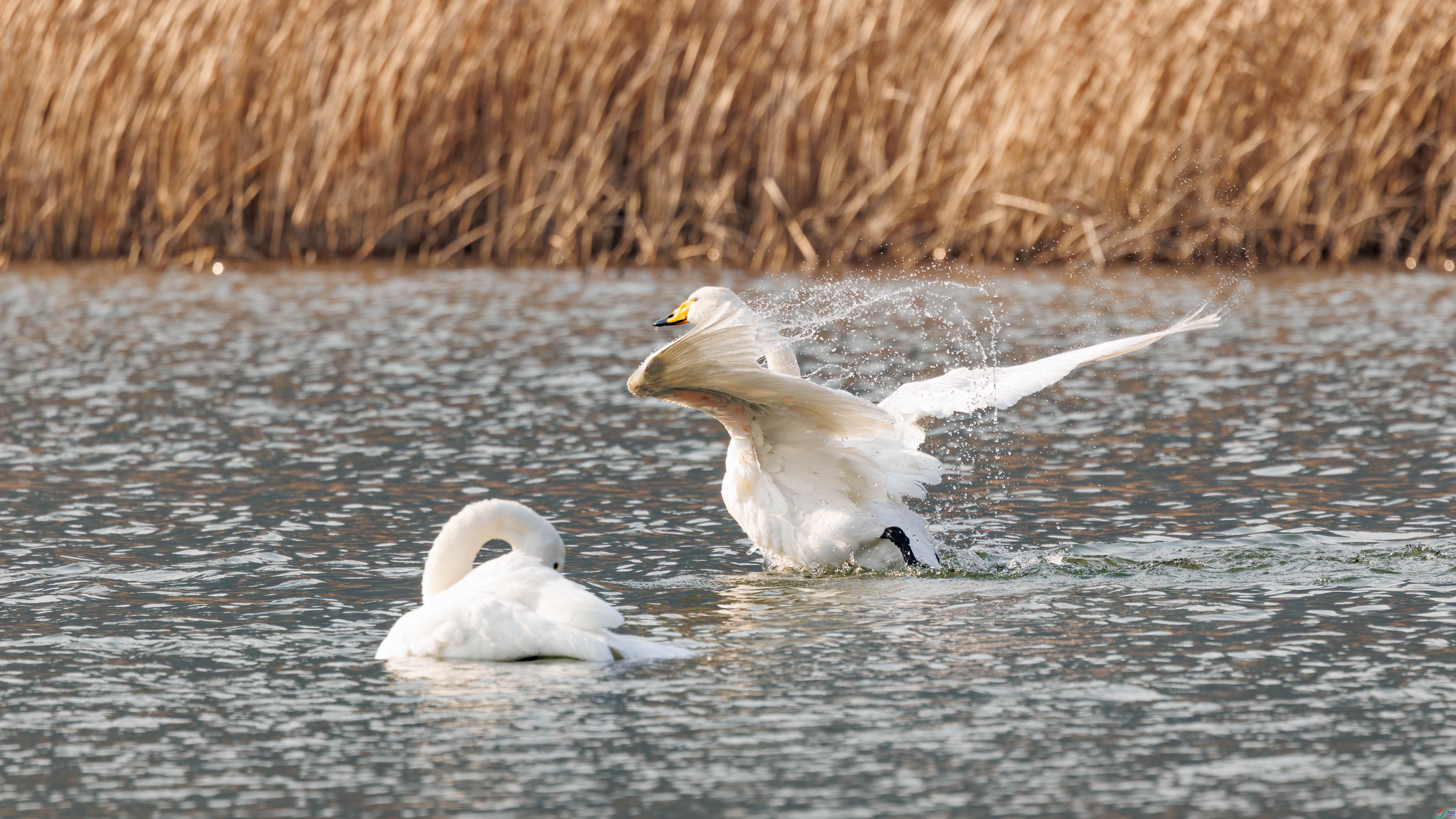 2I7A3927 ����.jpg