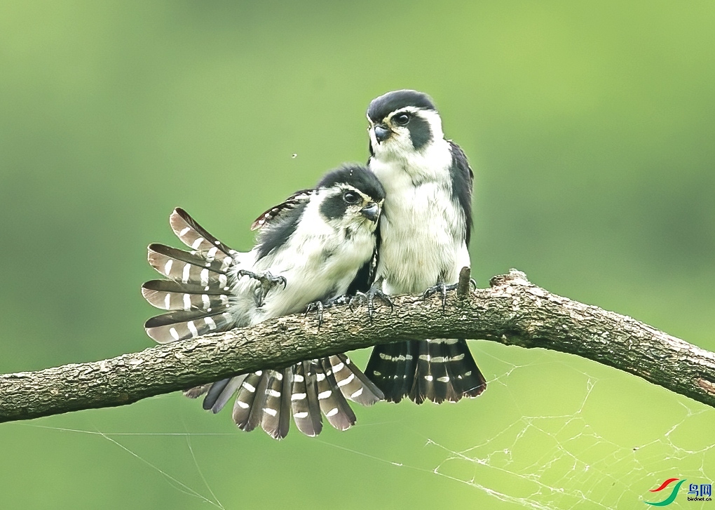 ����  ���� 0529  ��һ.jpg