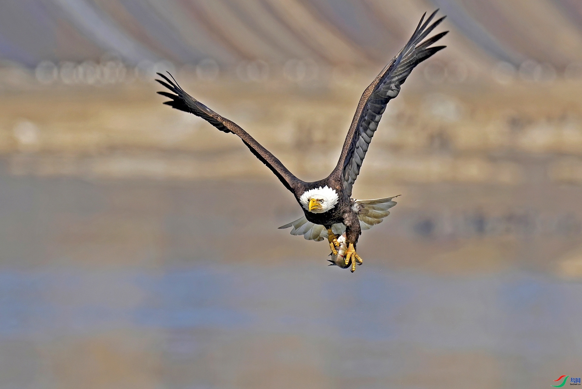 ���� ���� �������� ��һ.jpg