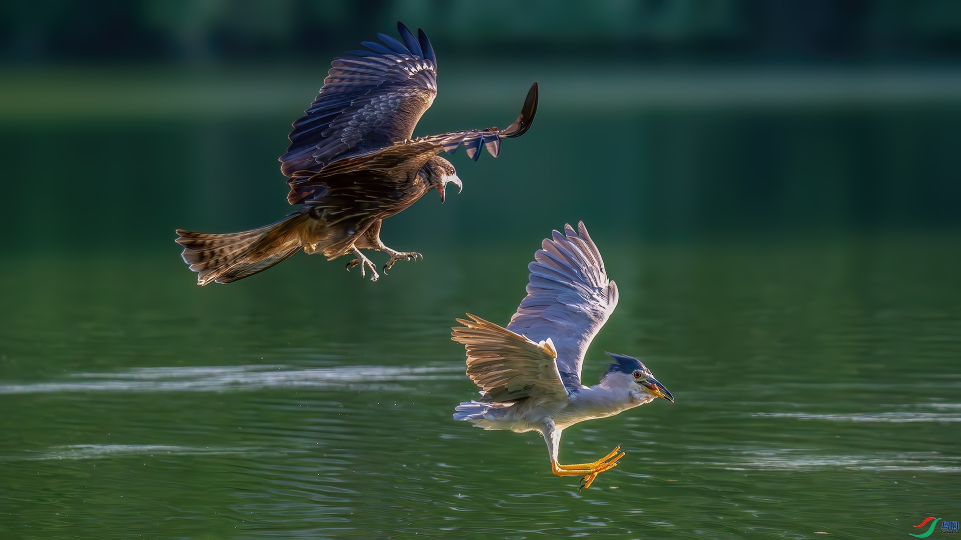 ŭ׷ ���� ��ѧ�� ��һ.jpg