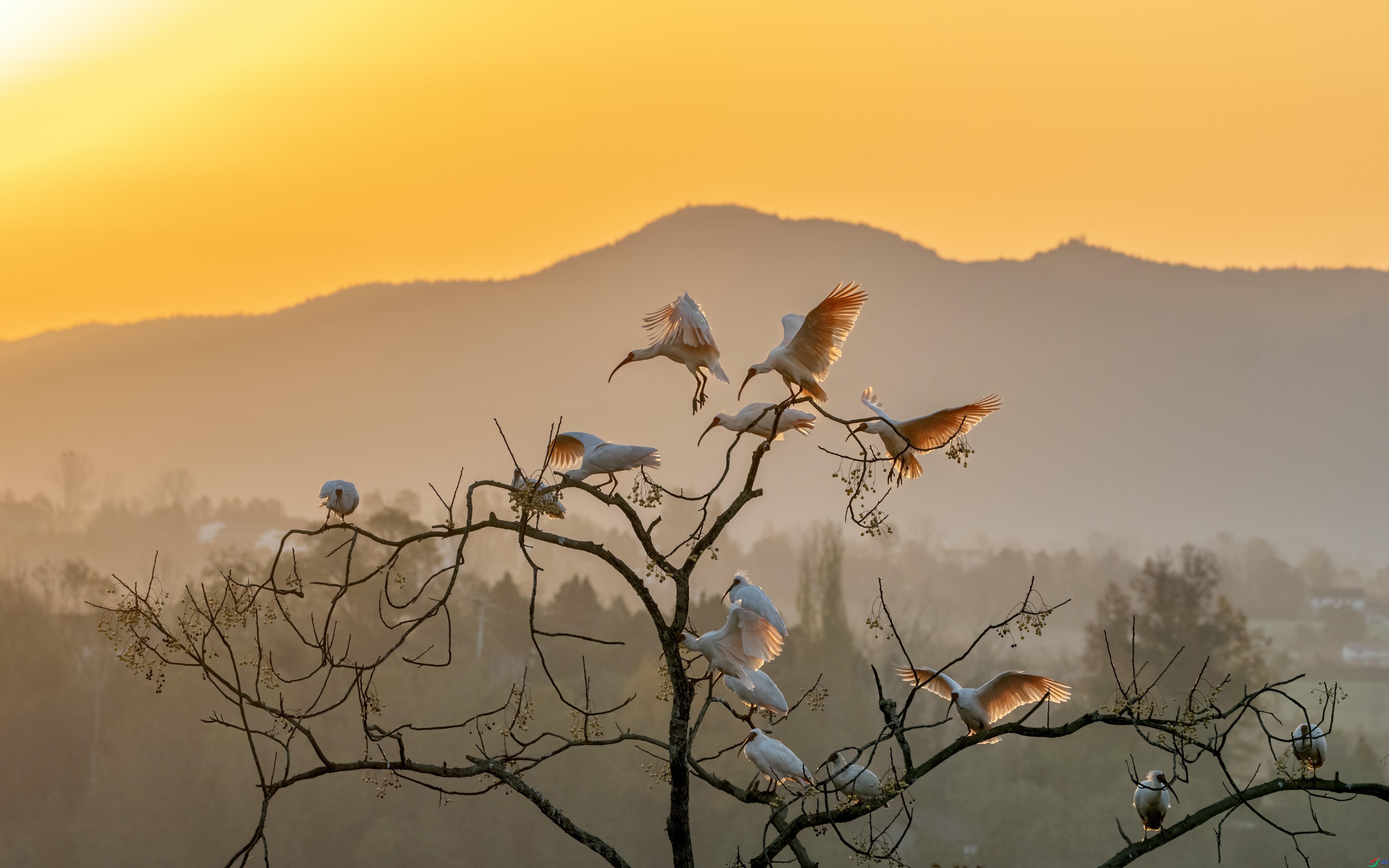 ��Լ���� ���� ���� ��һ.jpg