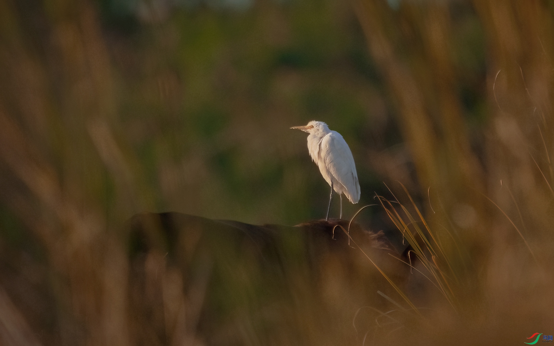 021A1713-�༭-�༭ ����.jpg