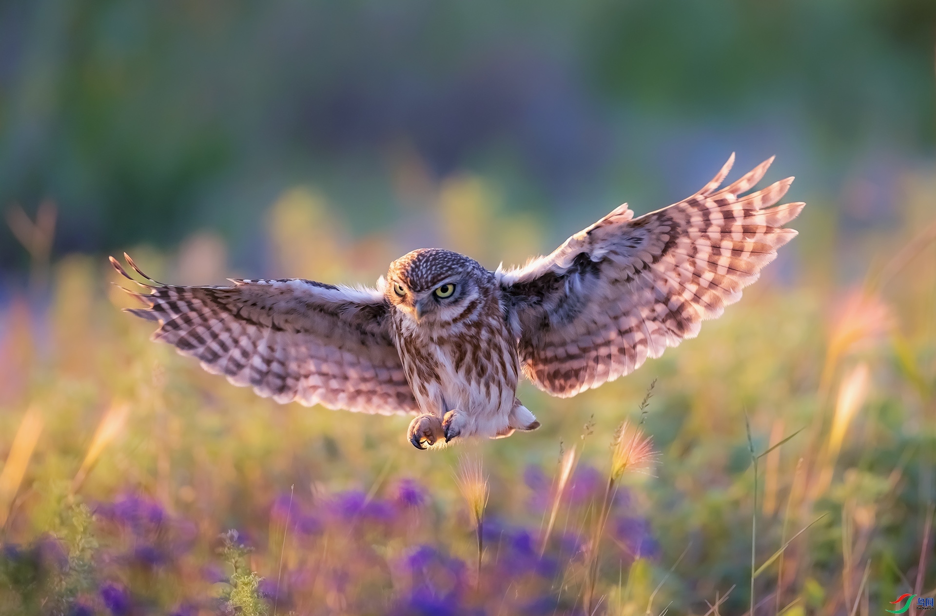 ���Ƹ�С�^ ���� ���� �ܶ�.jpg