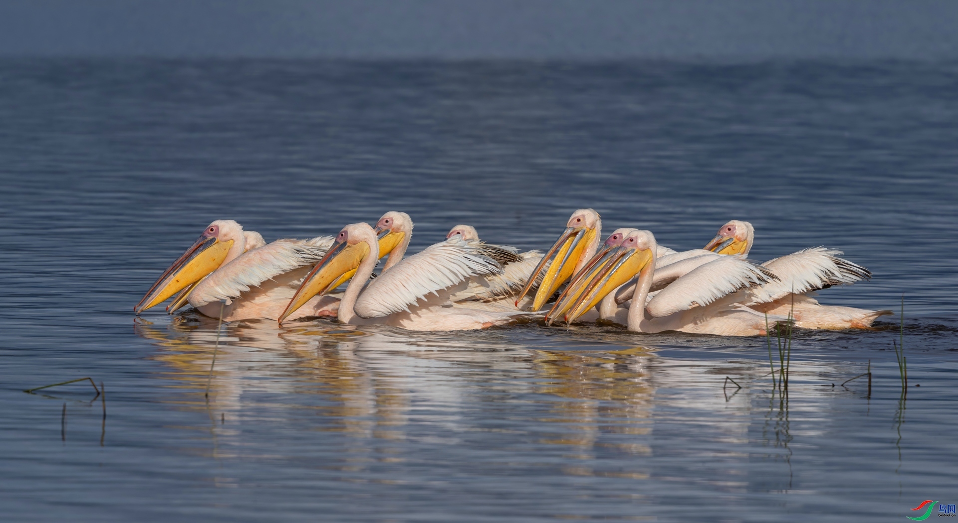 ������ ���� �ܷ� �ܶ�.jpg