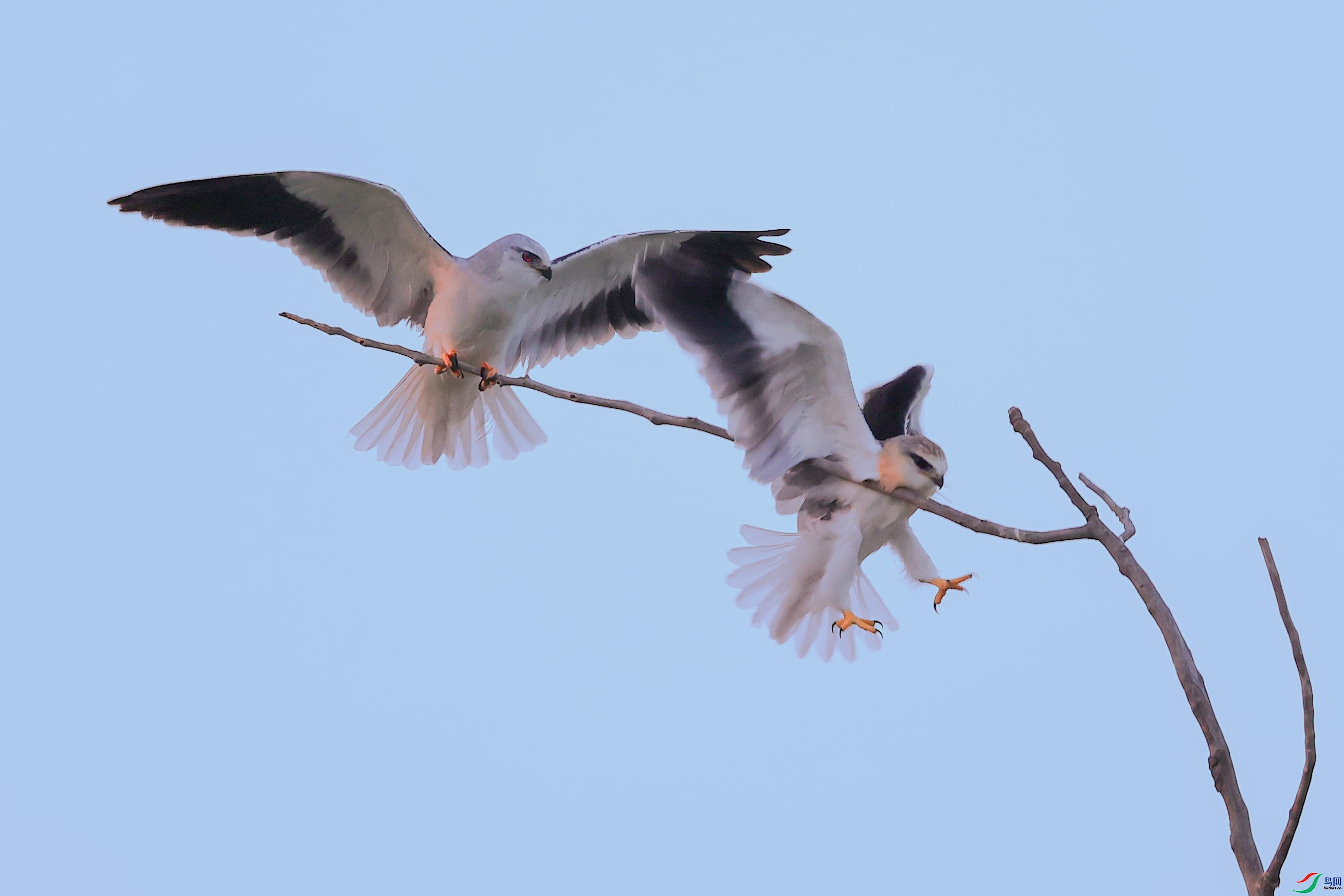 �׷���֦ʧ��  ���� ���� �ܶ�.jpg