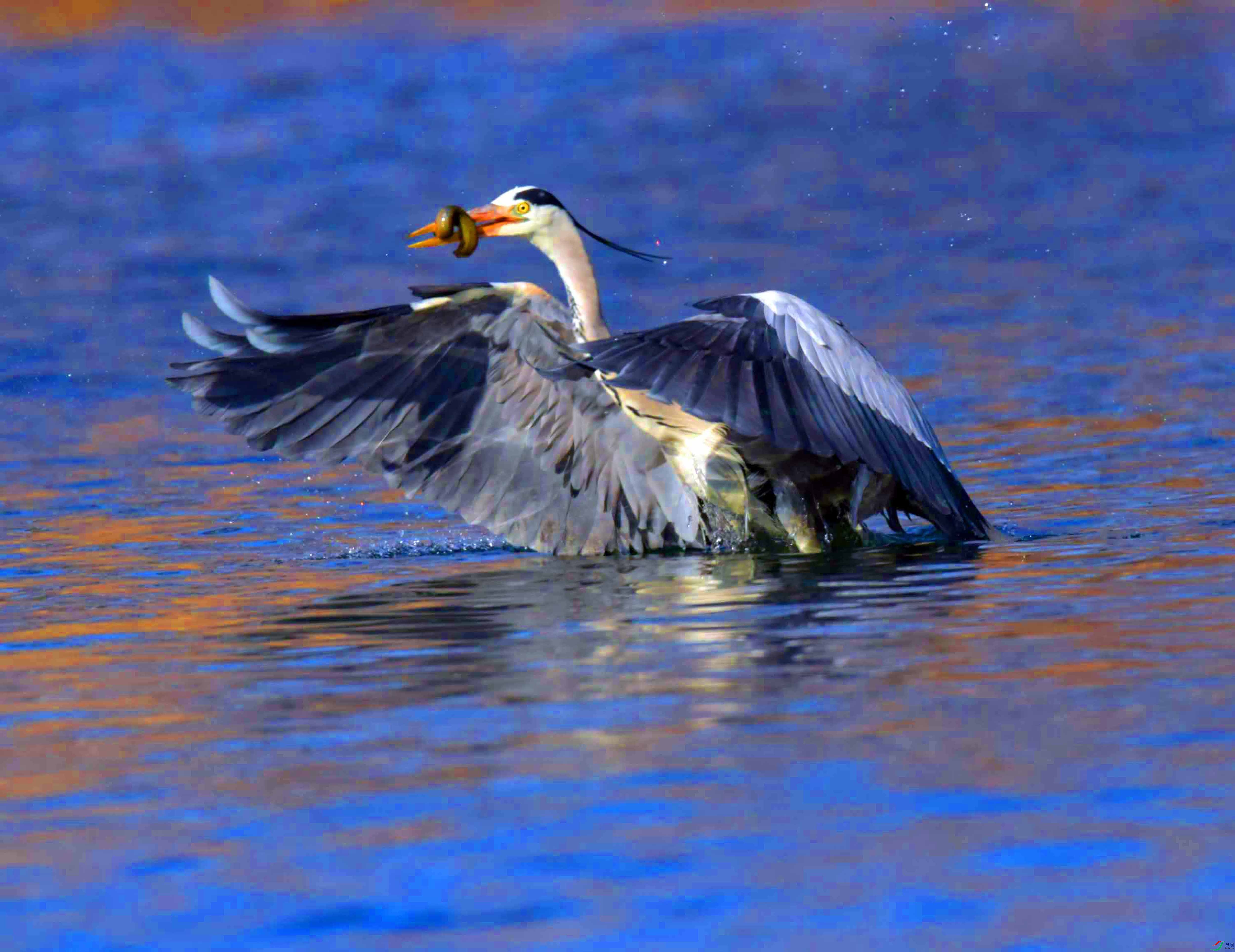 DSC_2143.JPG
