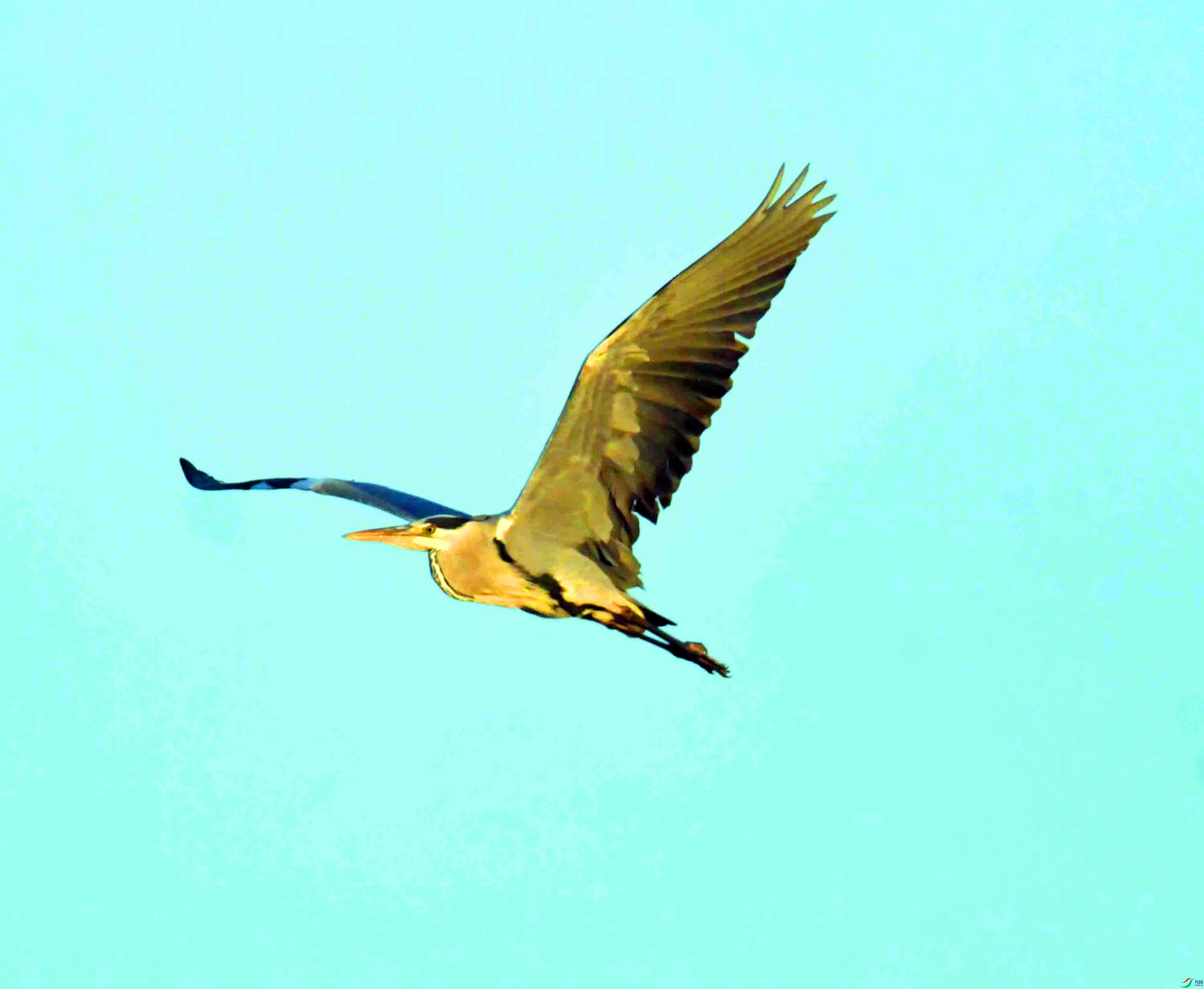 DSC_2196.JPG
