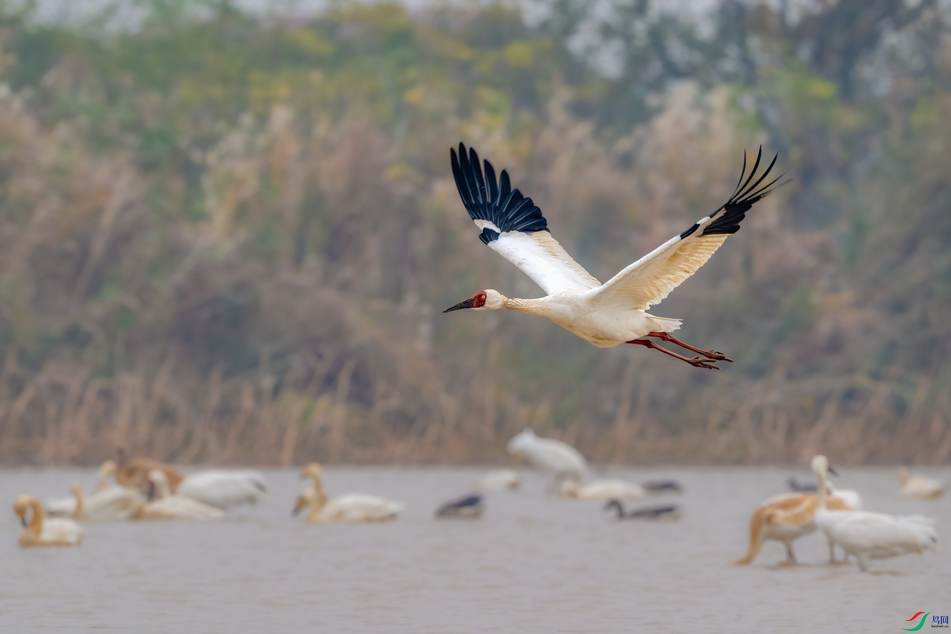 _DSC6813-����ǿ-NR ����С.jpg