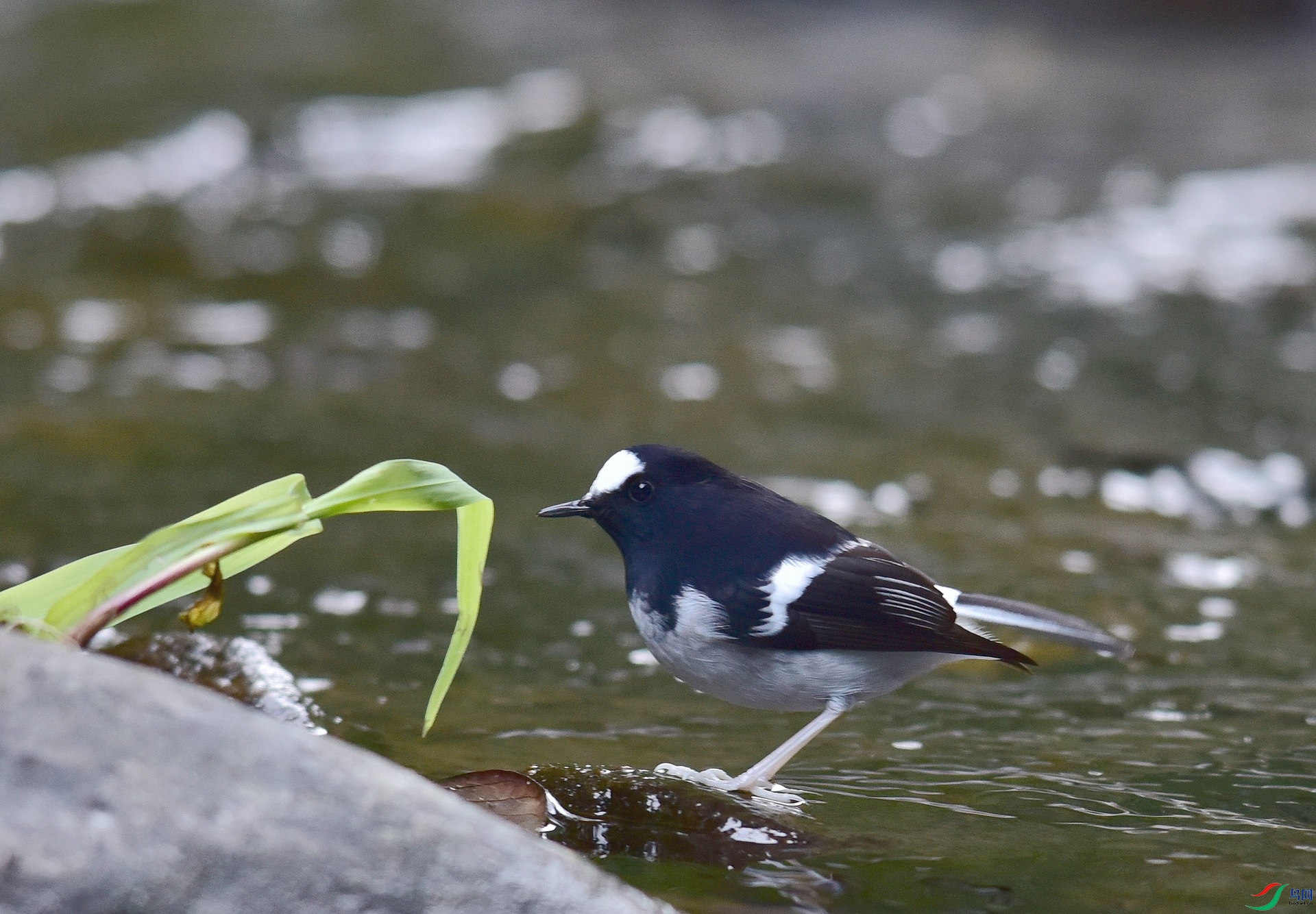 D8I_2182.jpg