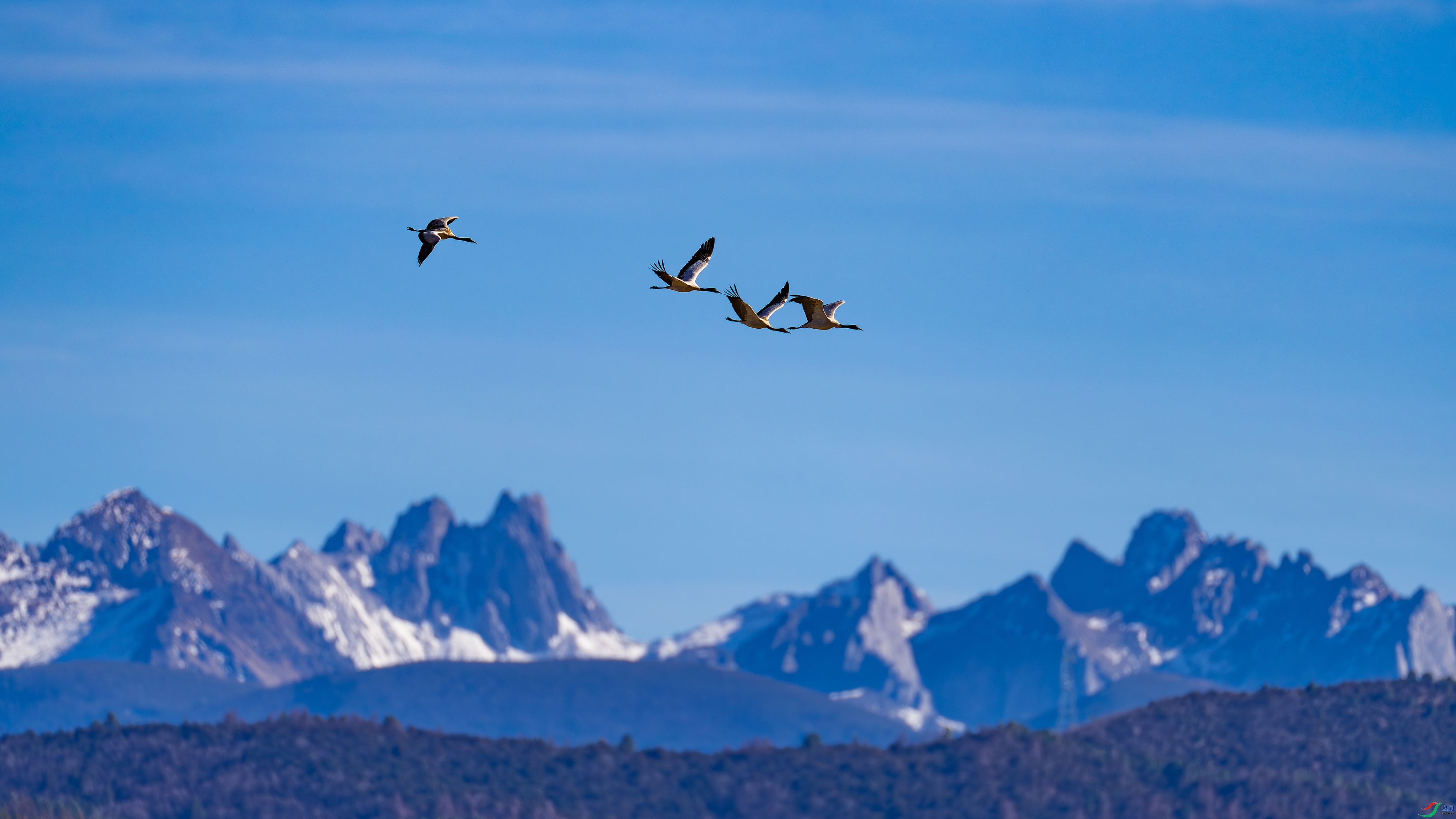 ��Խѩɽ  ���� ������ ����.jpg