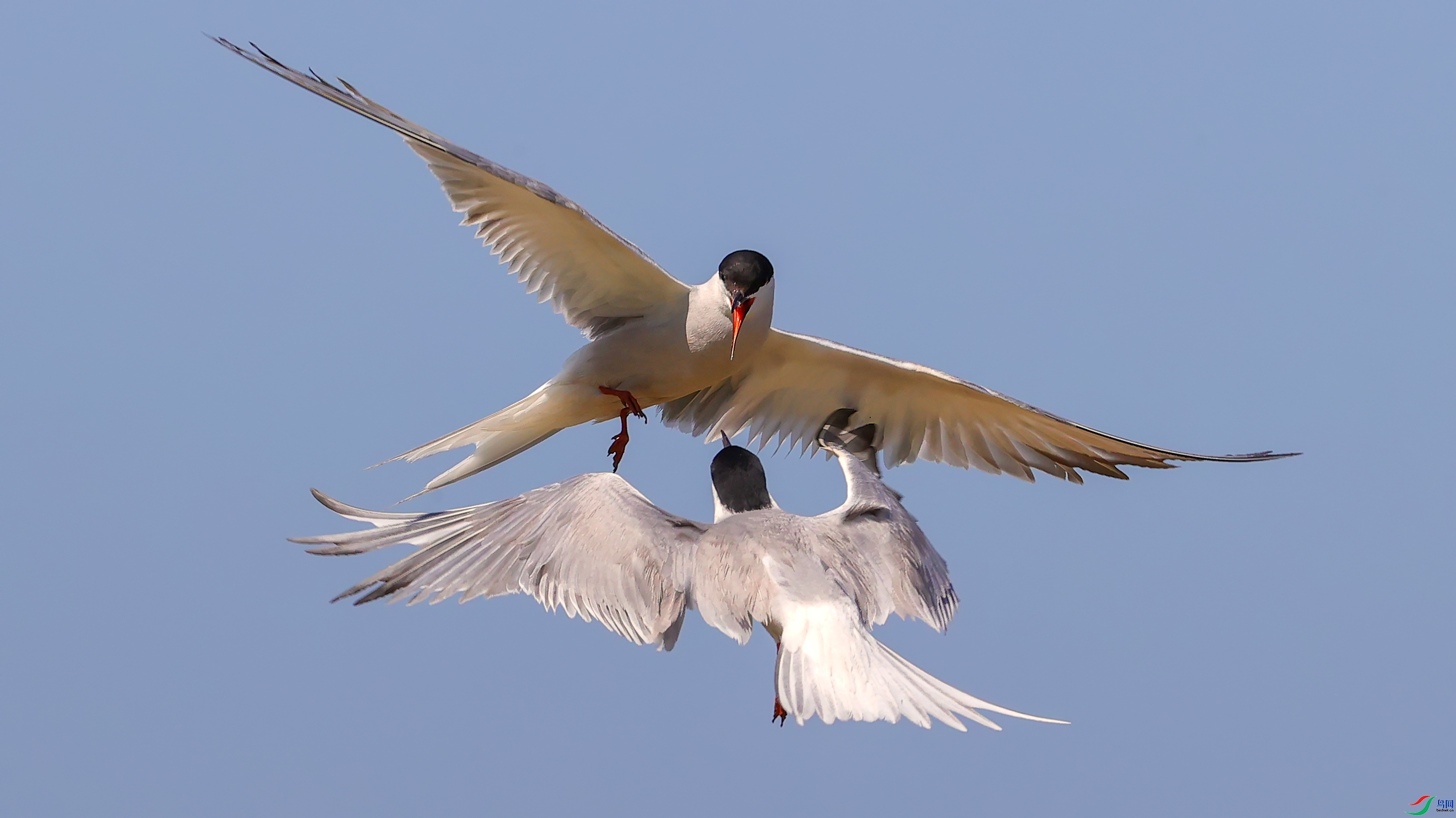 �Ӹ����� ���� ���� ����.jpg