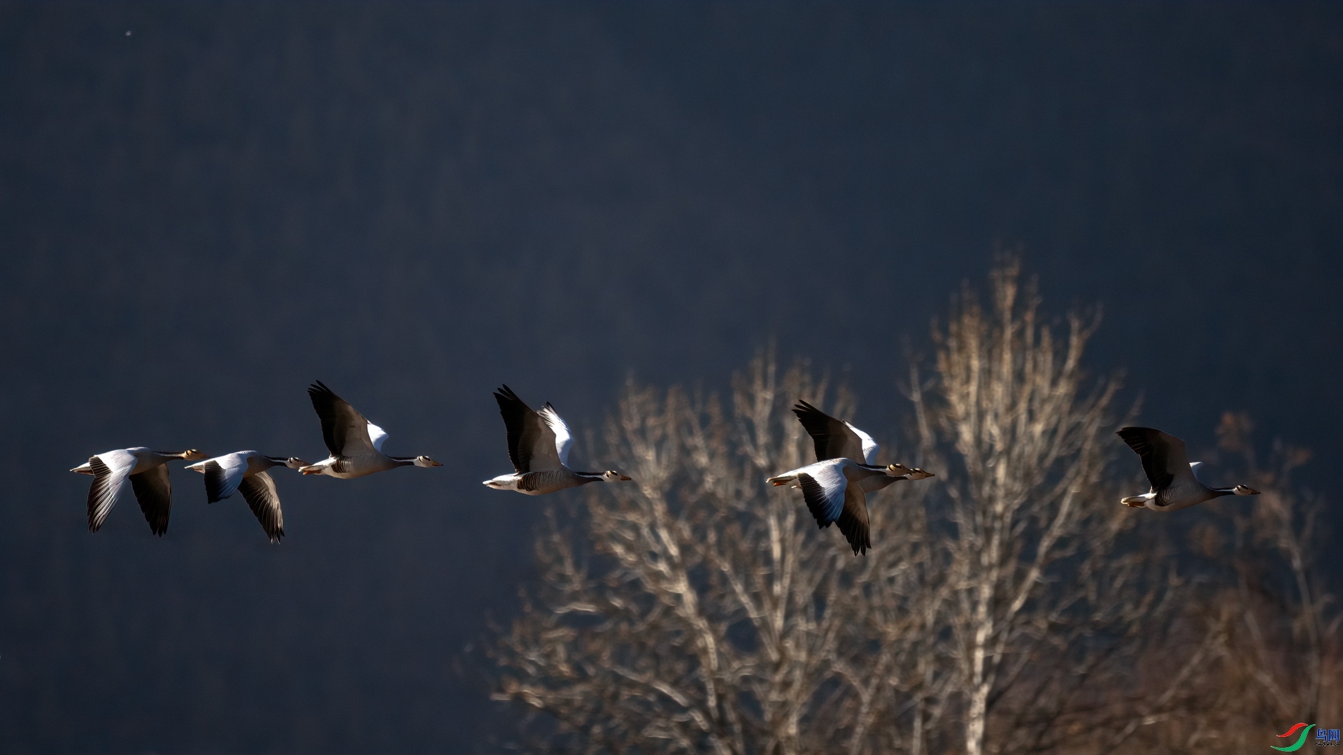 ��Խ  ���� ���� ����.jpg