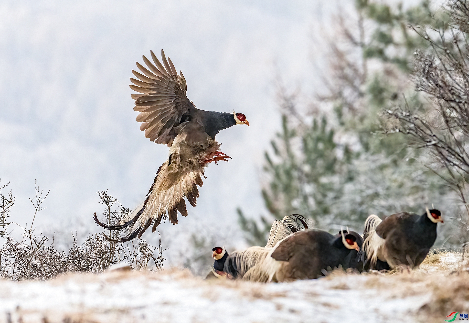 ���� ���� ������ ����.jpg