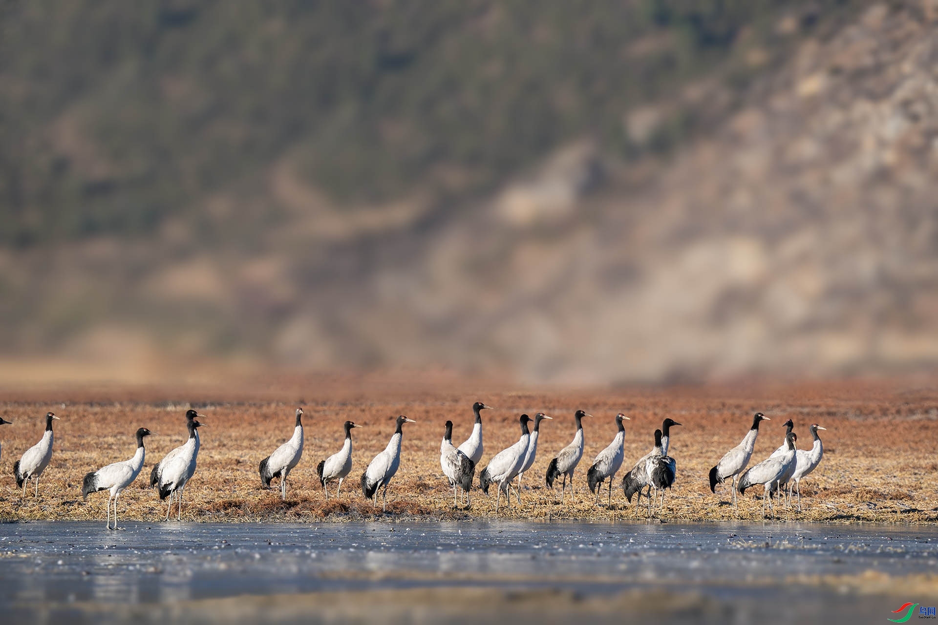 �������ĺھ���  ���� ľ�� ����.jpg