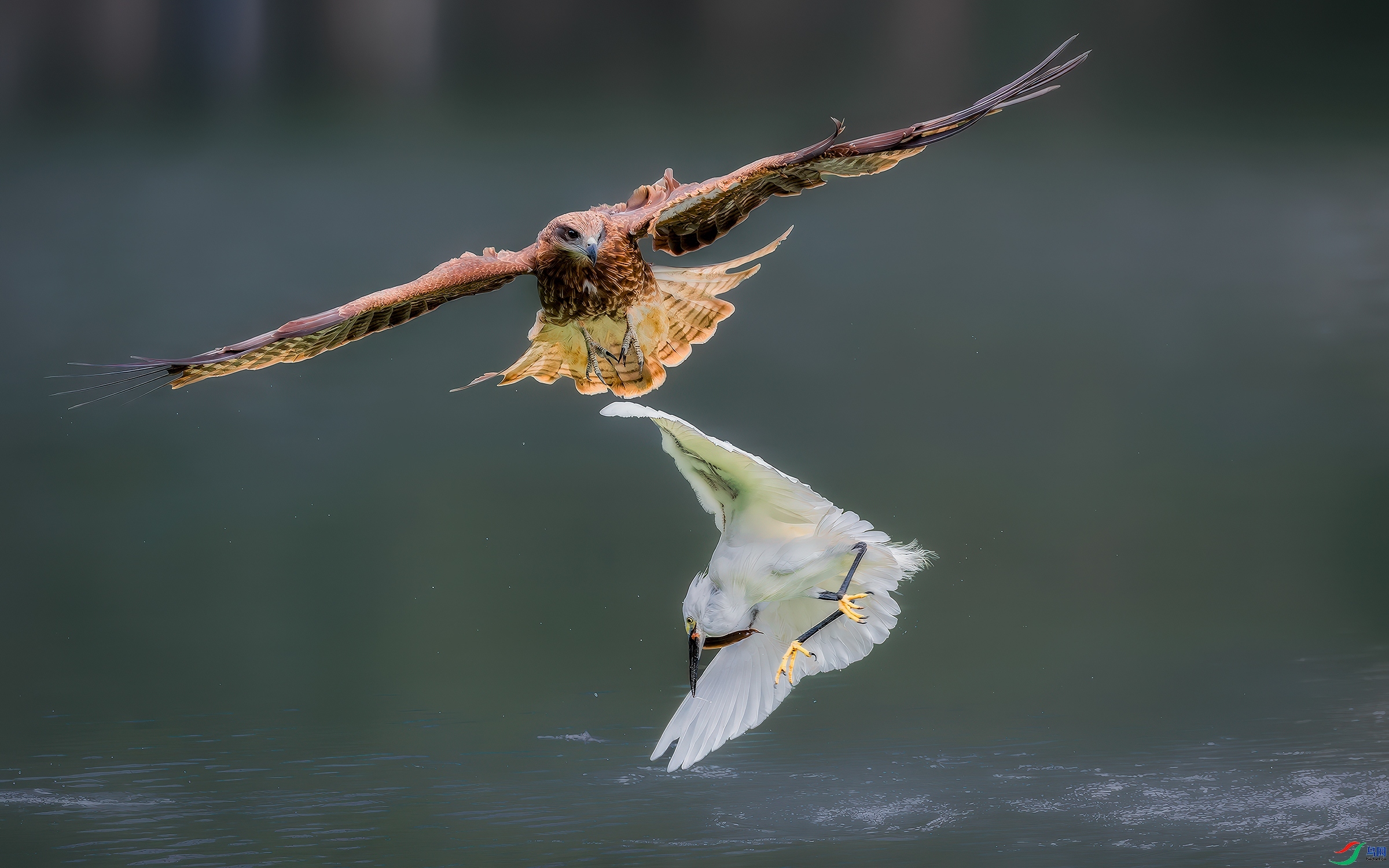 ���� ���� ����Ӱ ����.jpg