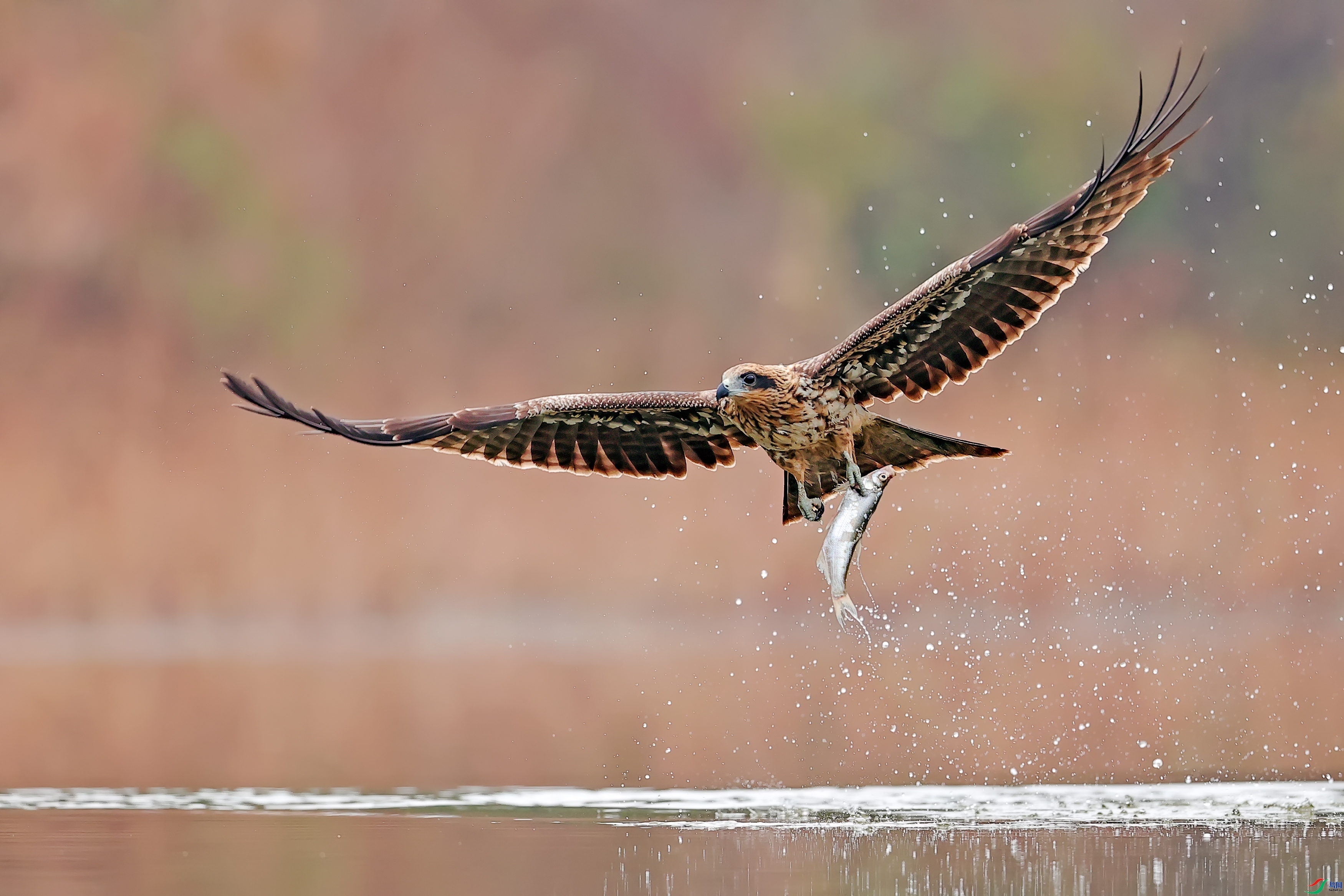 ���ջ�  ���� ���� ����.jpg